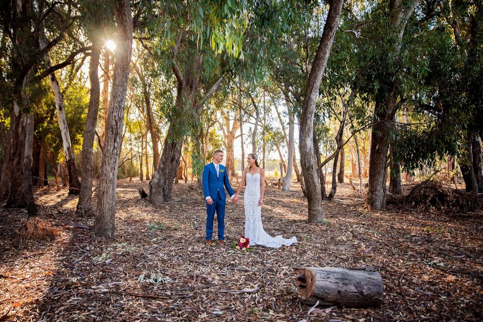 Moama on the Murray-2124961