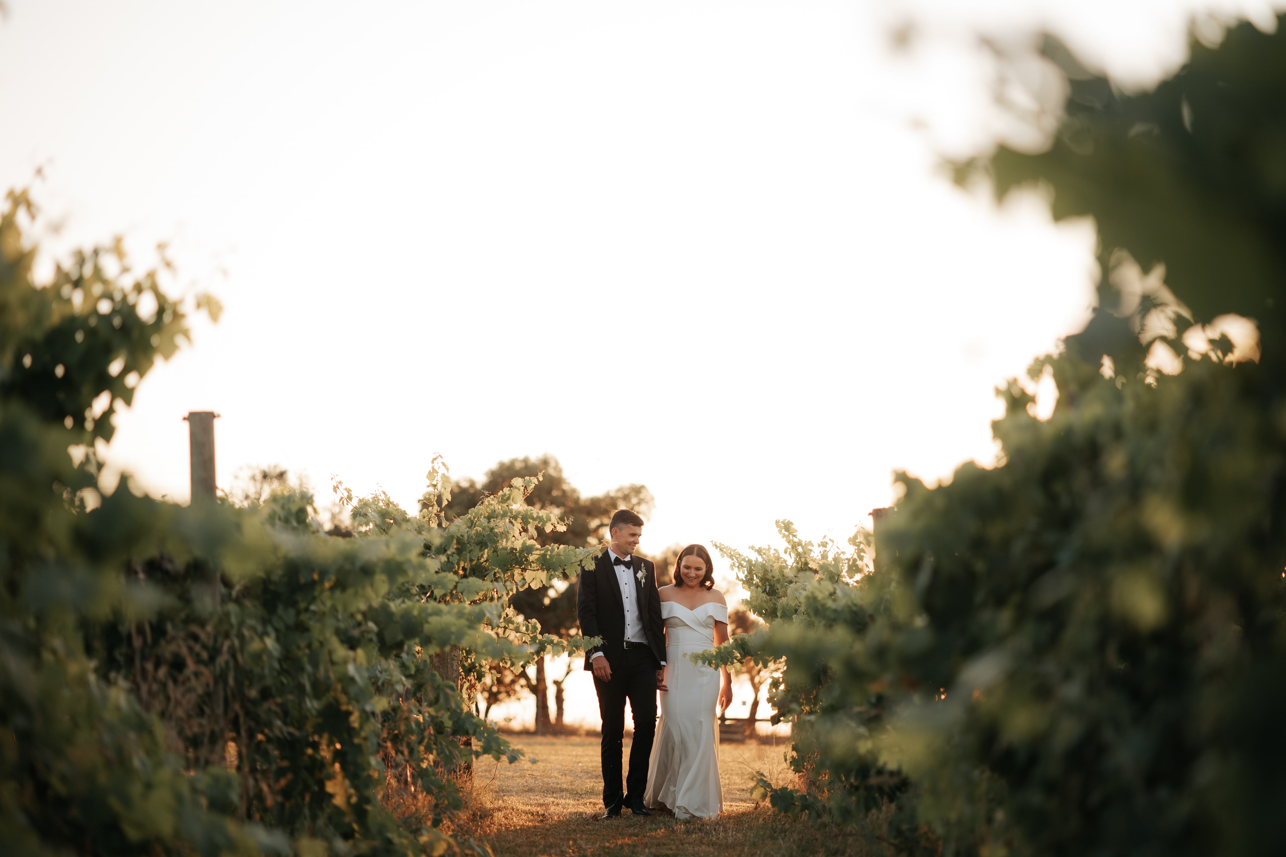 Mt Duneed Estate-2270791