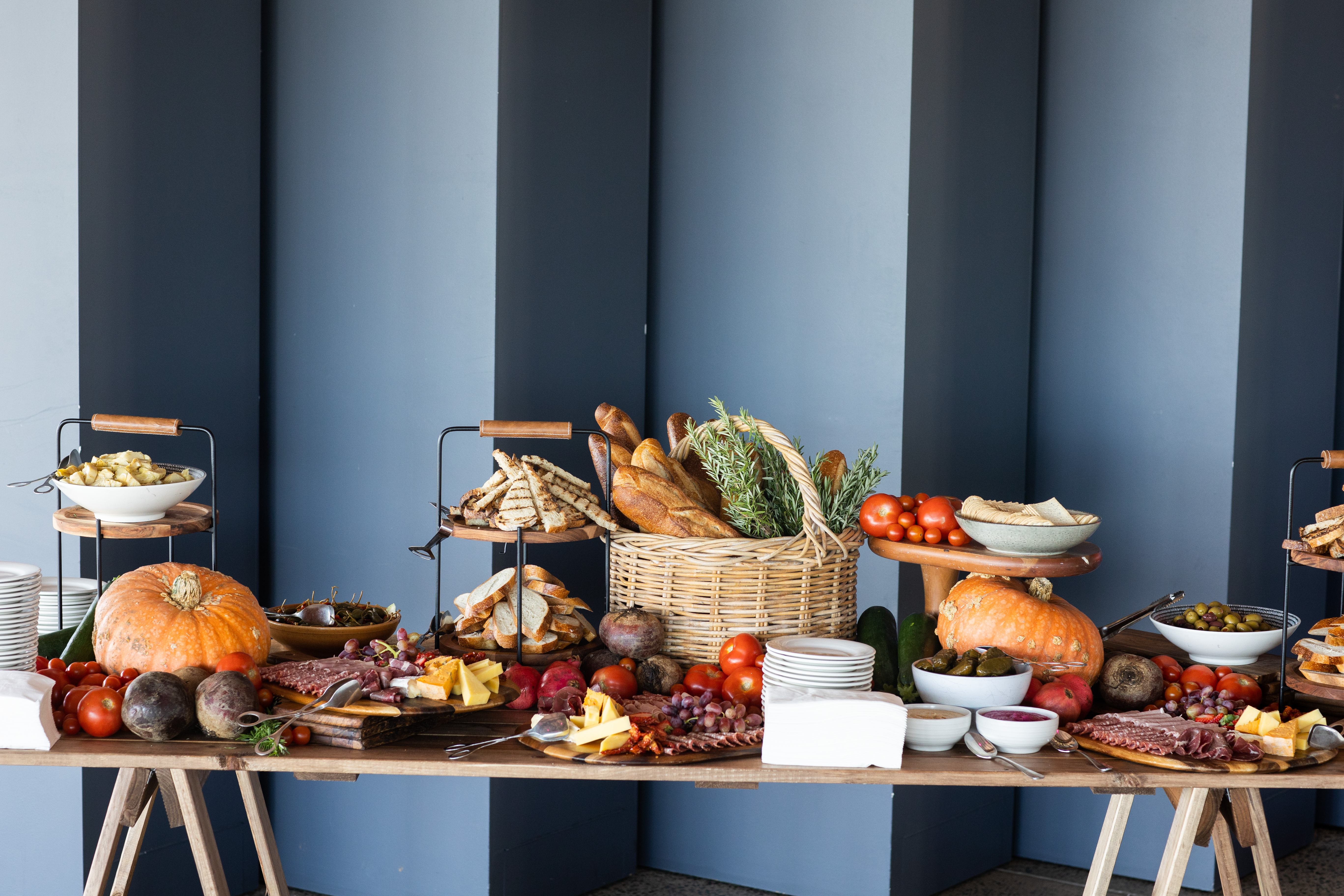 The Ginger Group at The National Arboretum Canberra-2351356