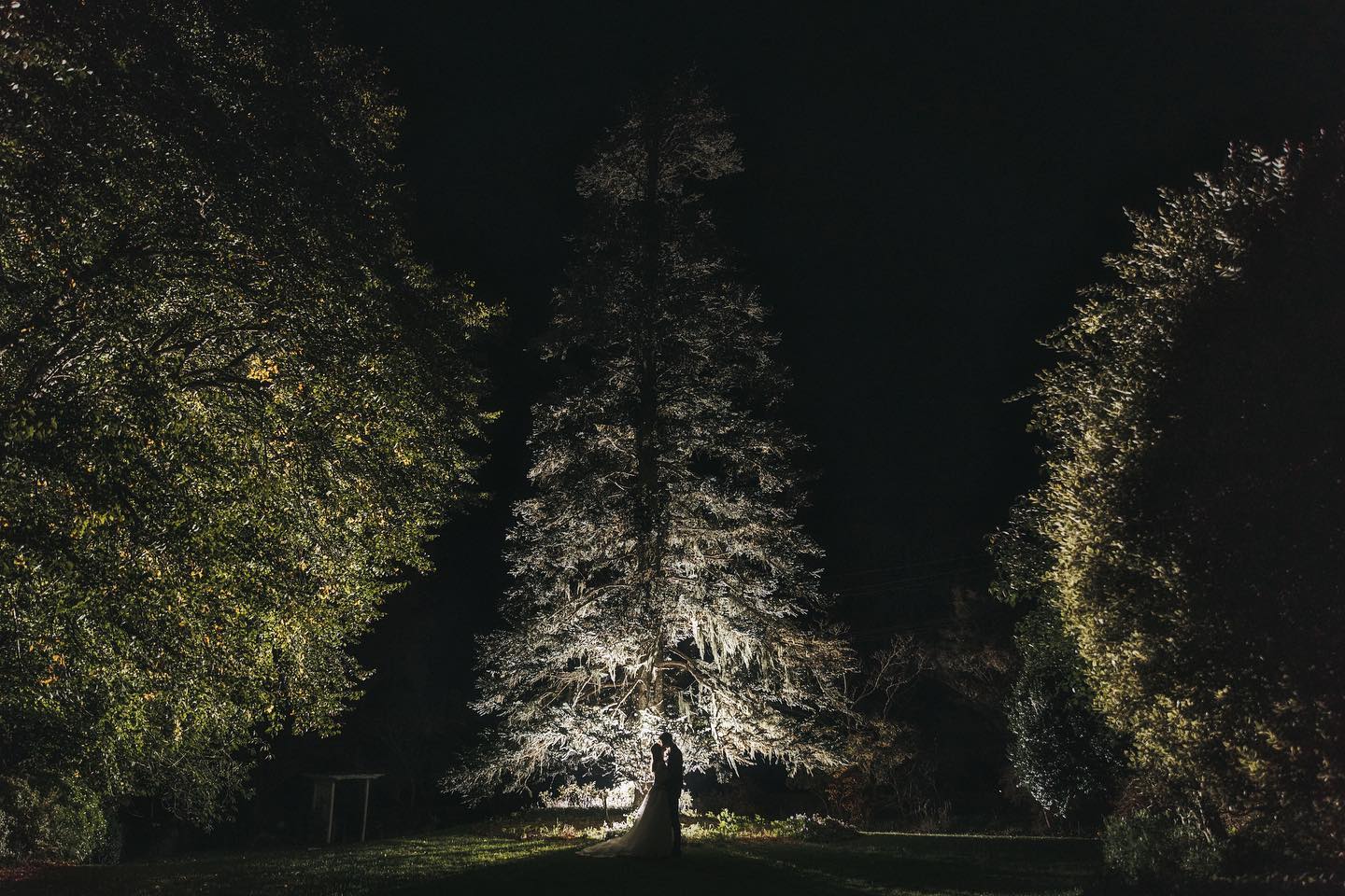 Nesuto Leura Gardens-2087249