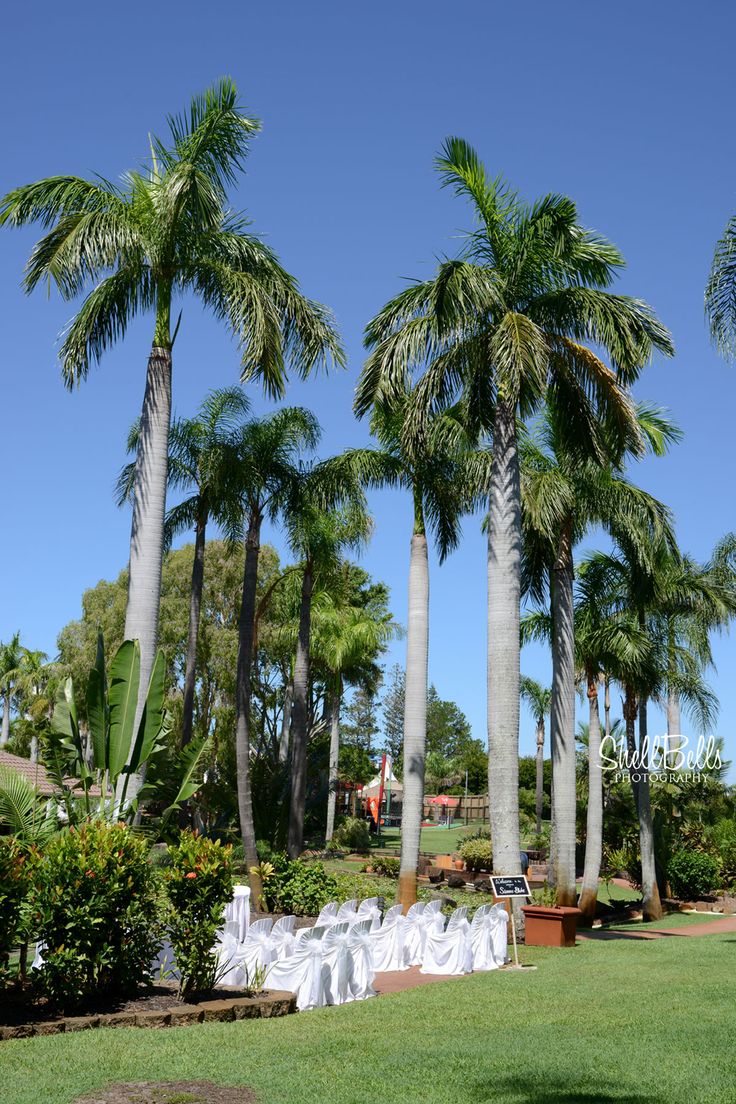 Oaks Sunshine Coast Oasis Resort-2482108