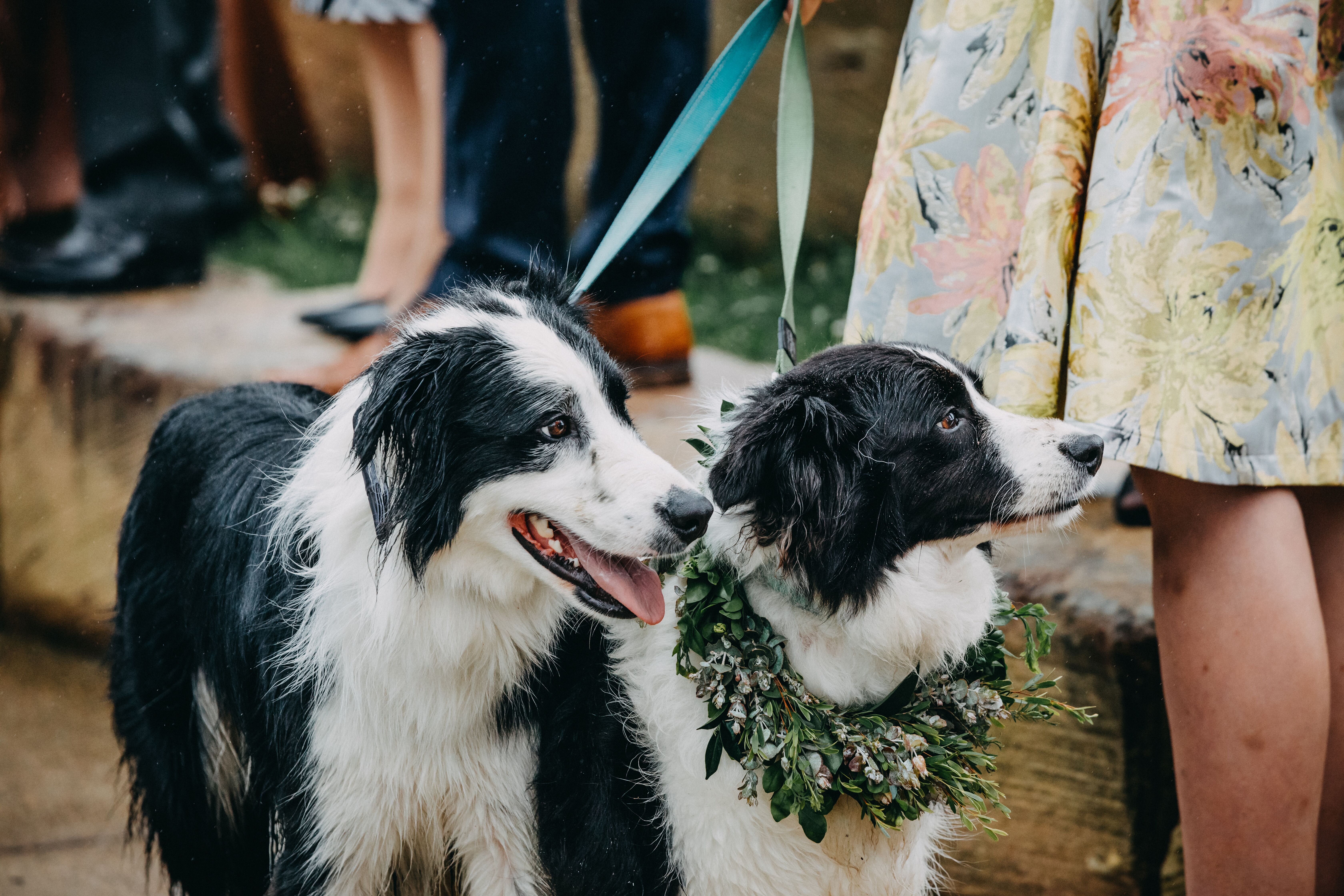 Ocean View Estates Winery & Restaurant-2120922