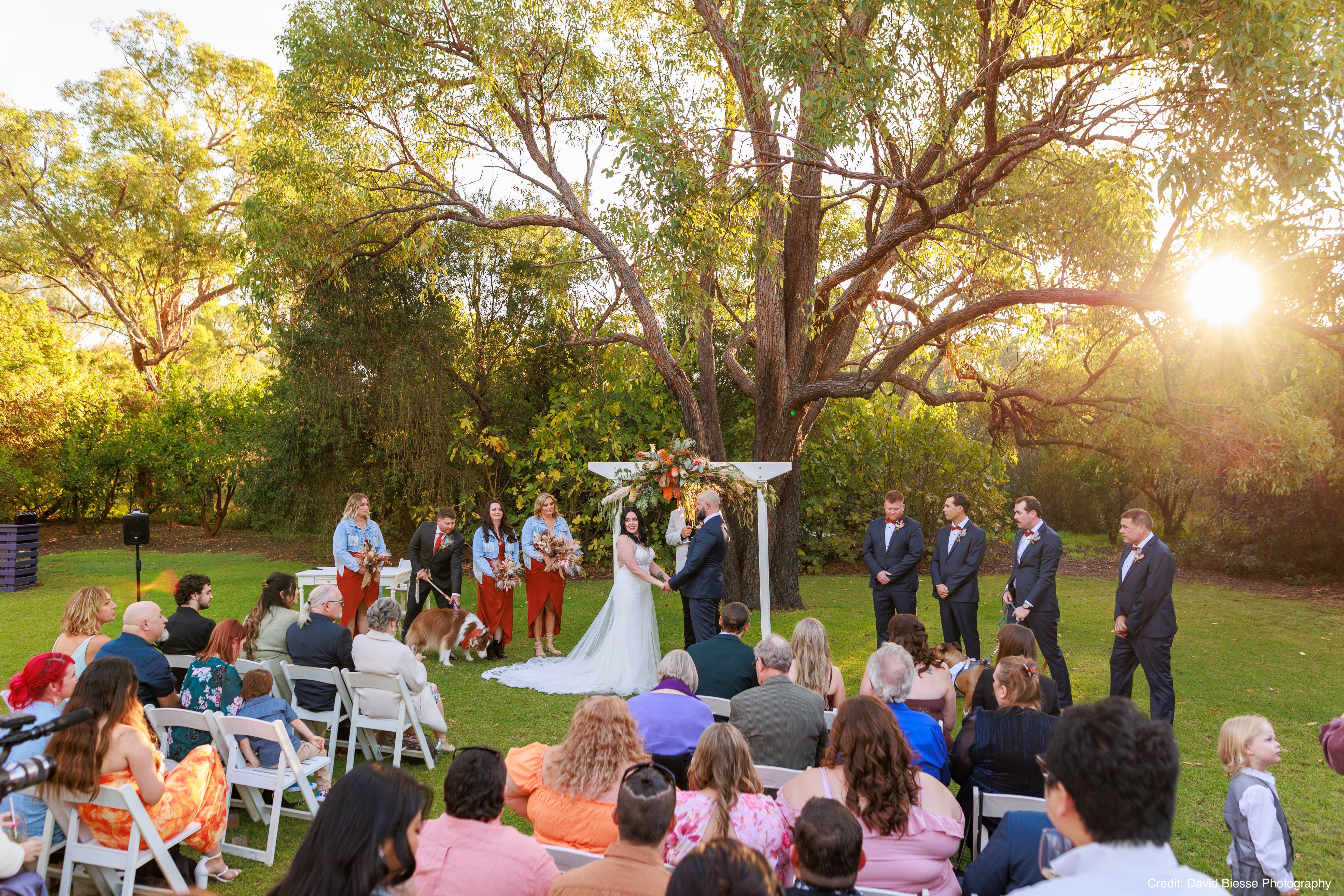 Old Young's Kitchen-2255670