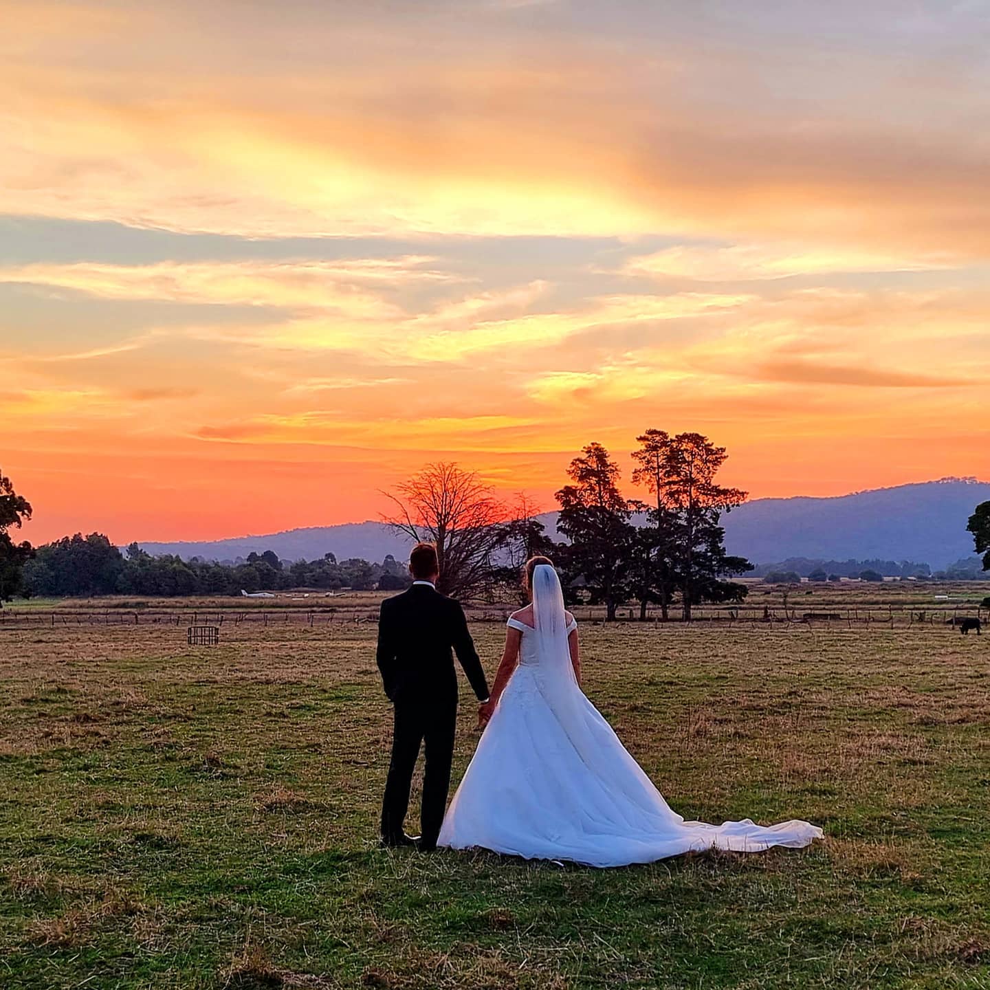 Olinda Yarra Estate-2060596