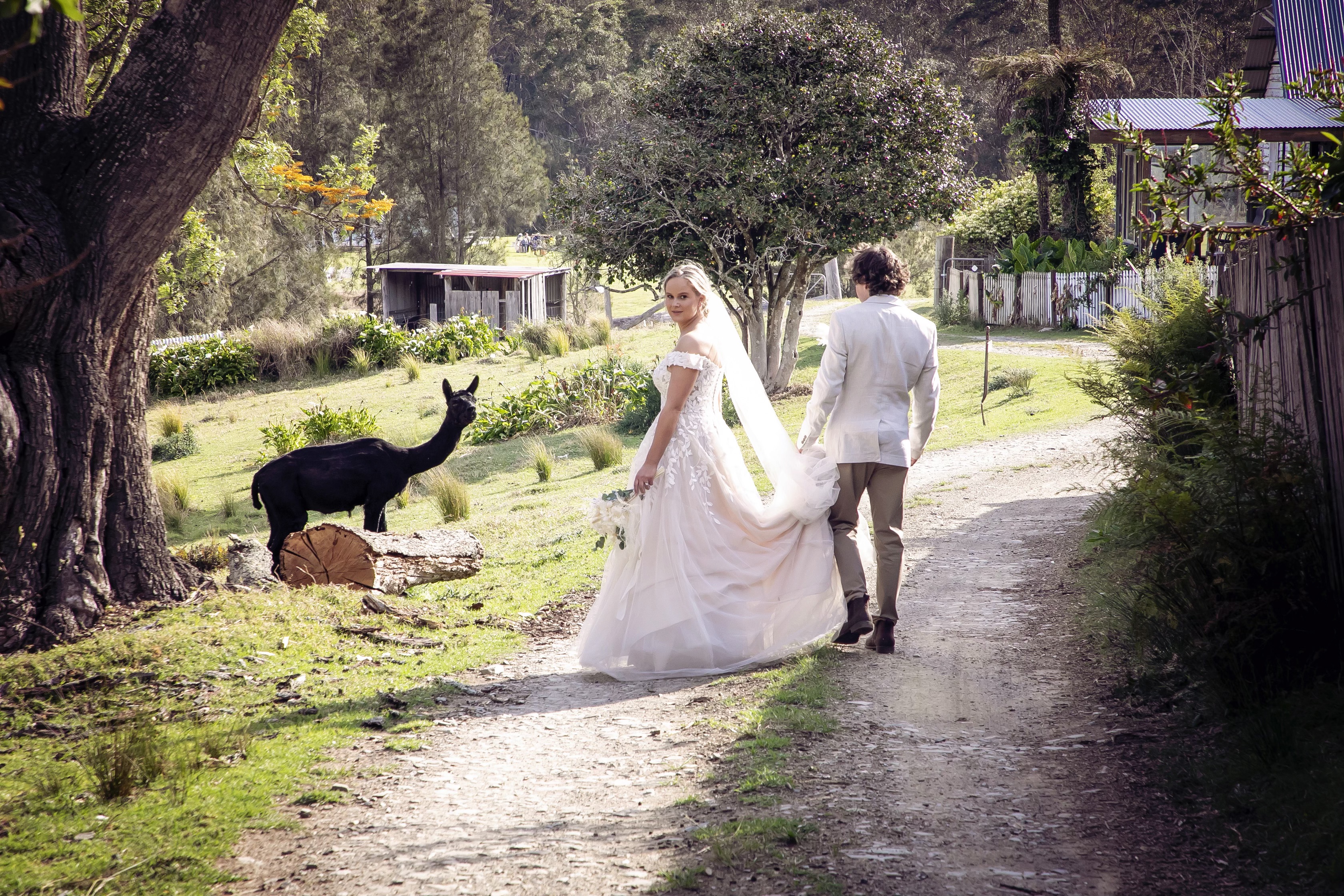 Orange Grove Farm Weddings-2488084