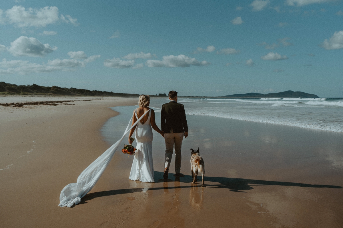 Palms Pavilion-2287668