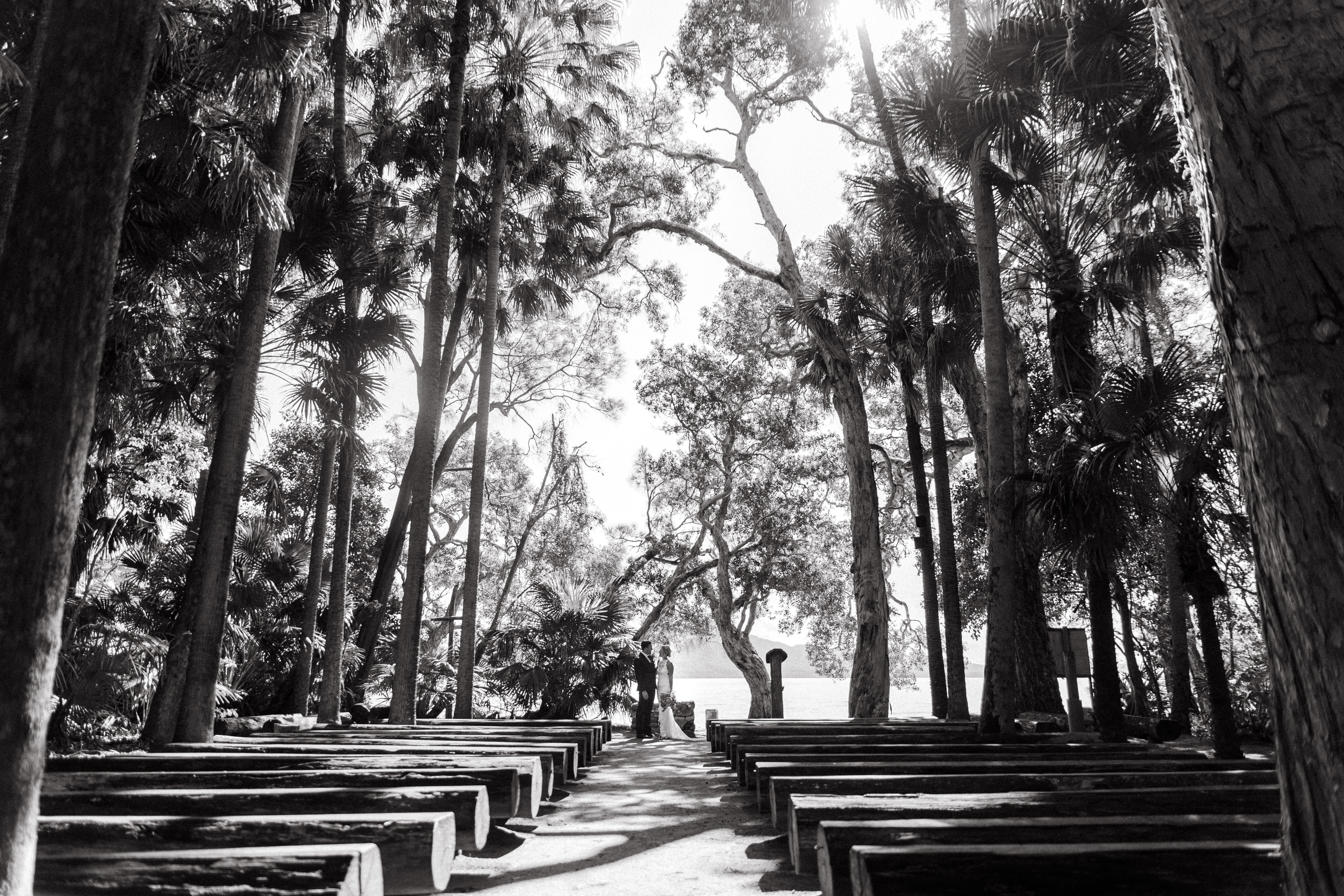 Palms Pavilion-2262139