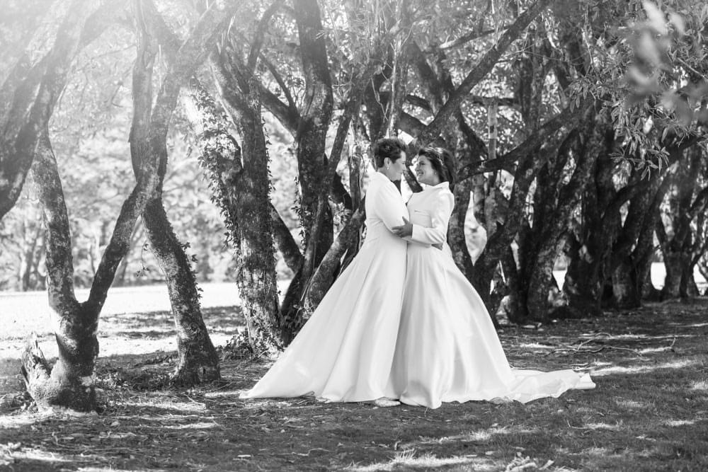 Parklands Country Gardens & Lodges-2375791