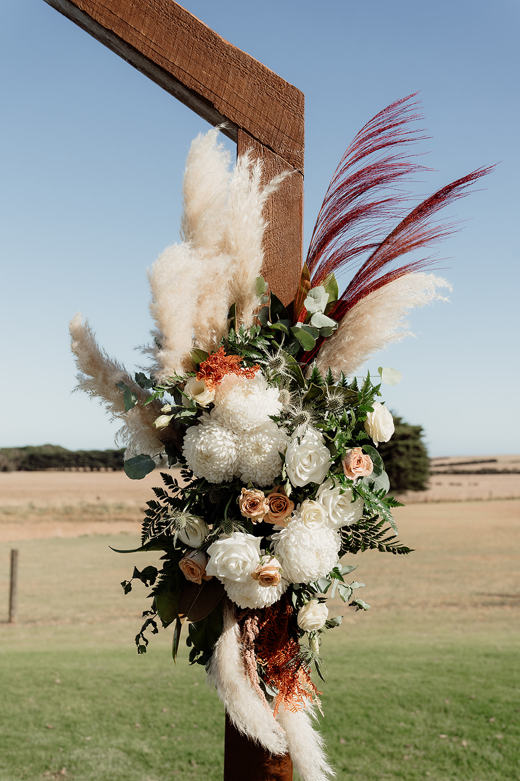 Phillip Island Winery-2522564