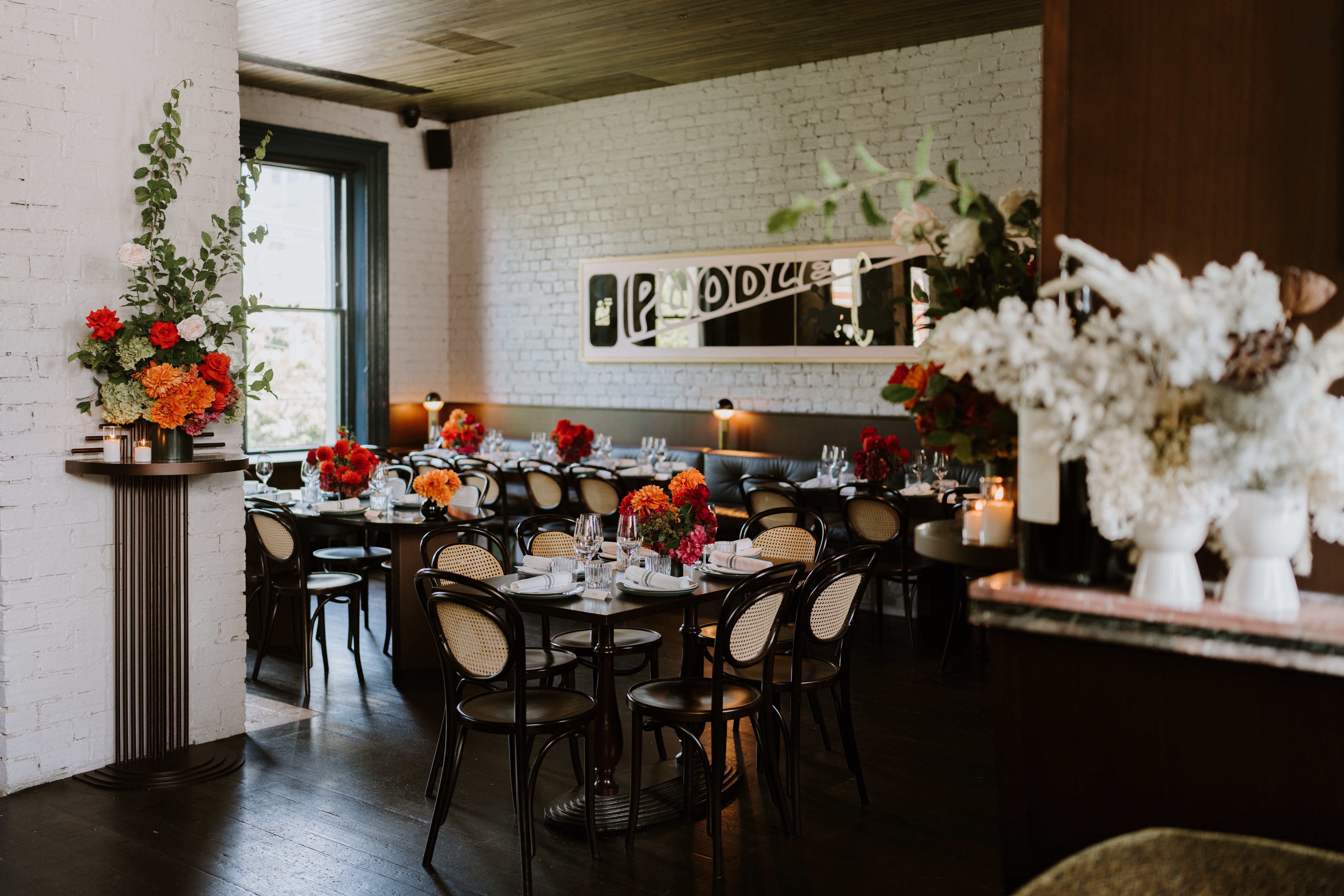 Poodle Bar & Bistro-2320319