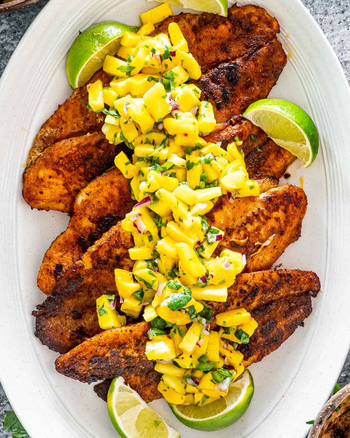 Port Douglas Yacht Club-2335173