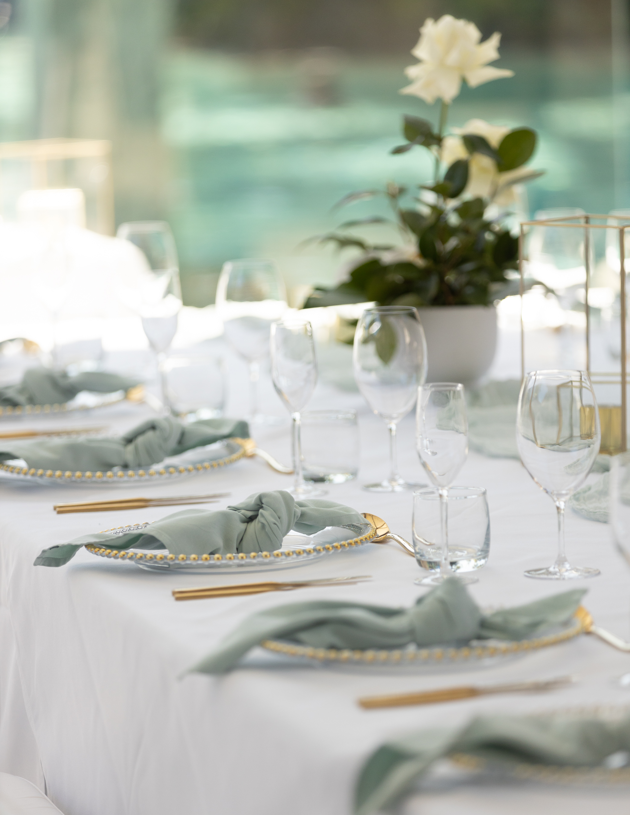 Pullman Port Douglas Sea Temple Resort and Spa-2285904