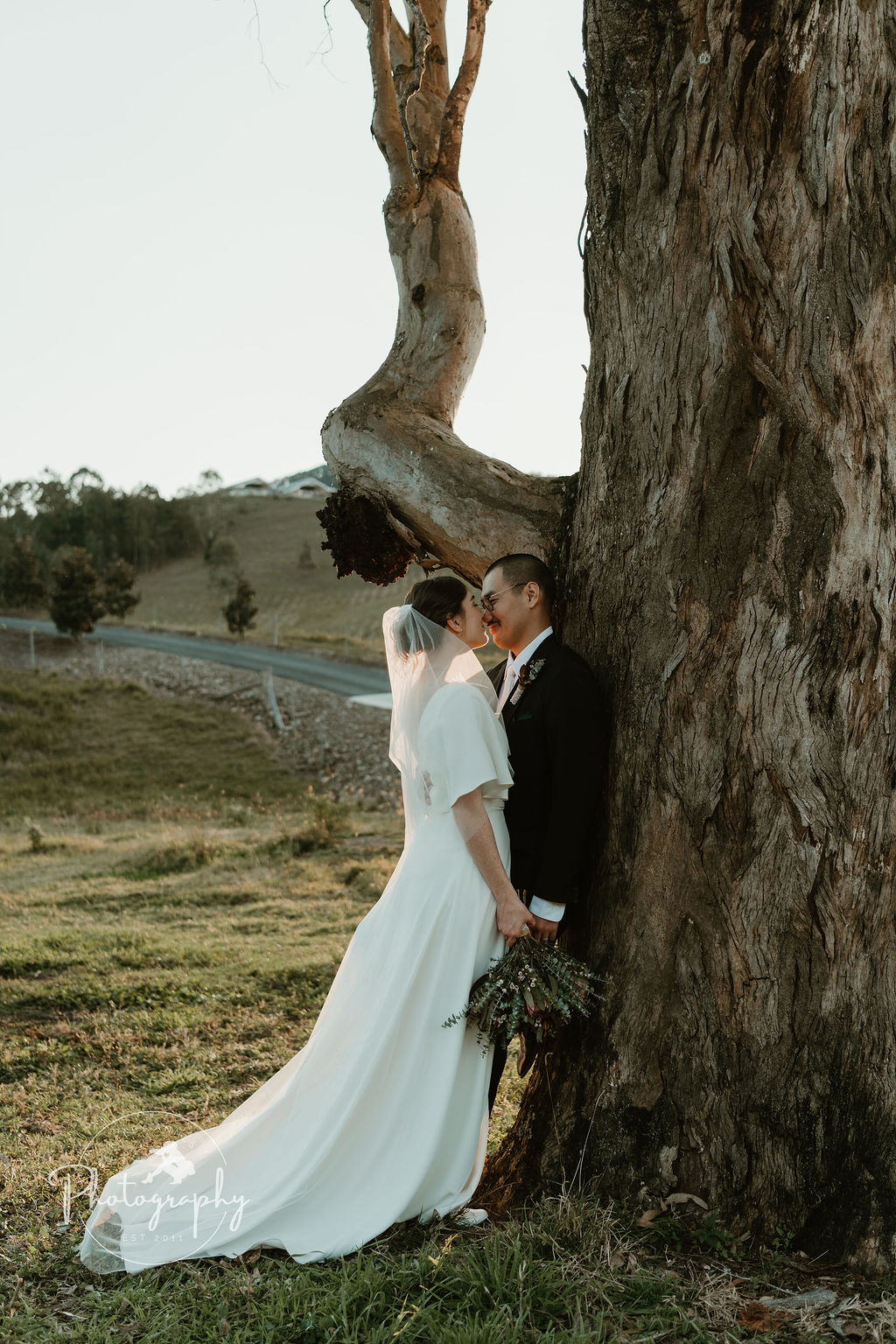 Riley's View-2465438