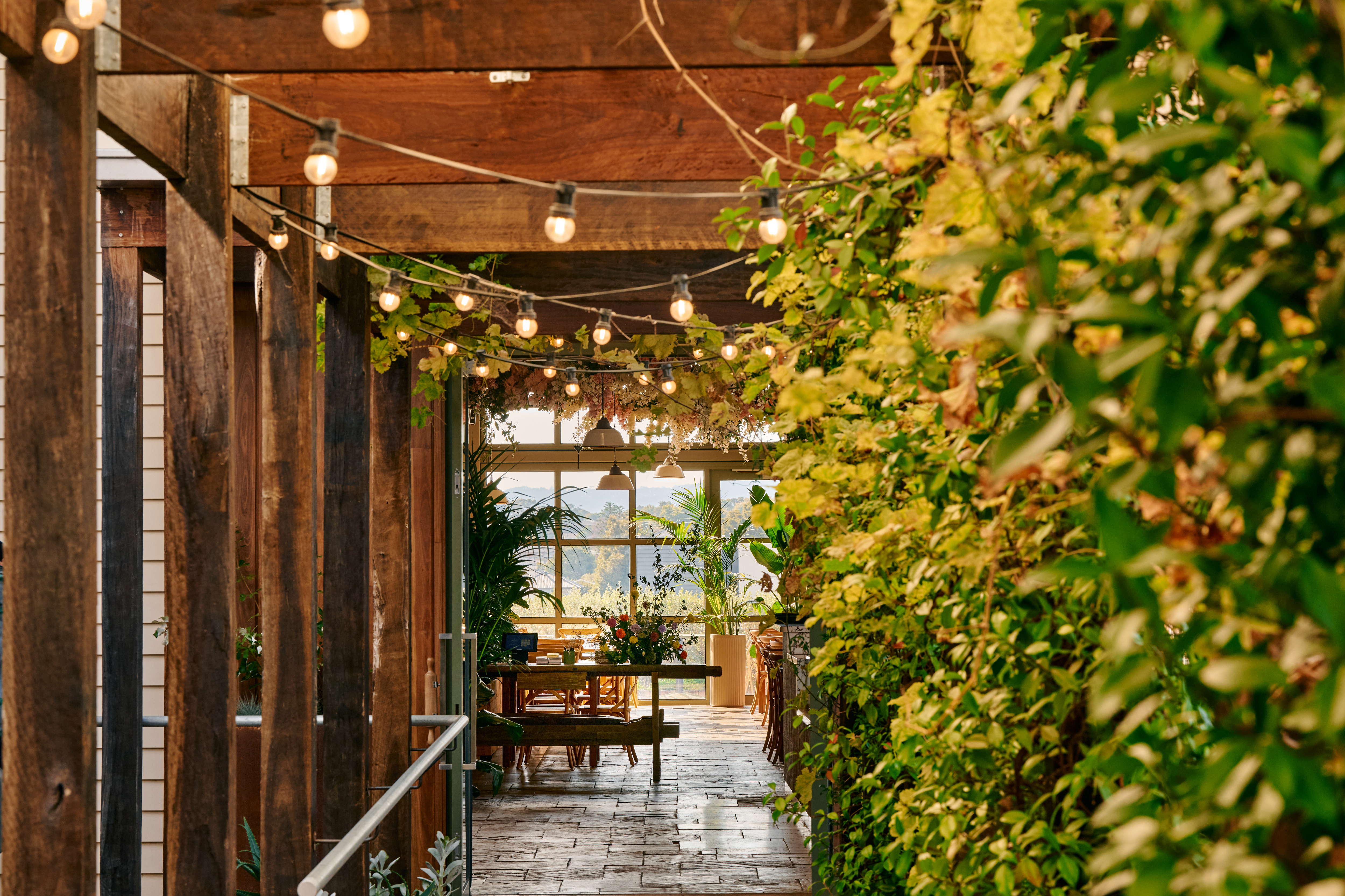 Rombe Rooftop-2479143