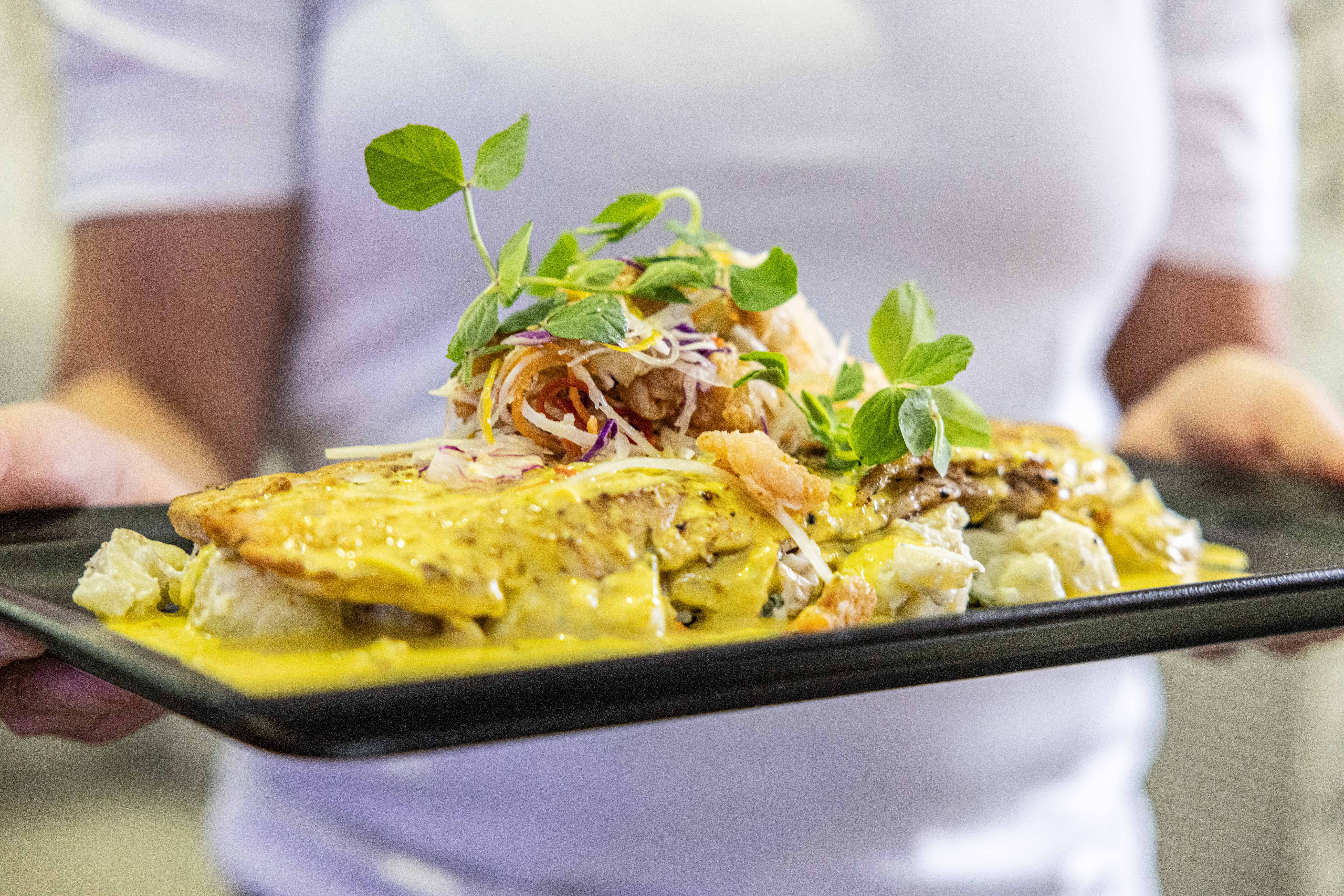 Salsa Port Douglas-2432798