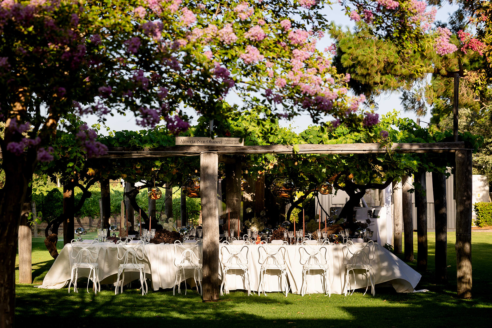 Sandalford Wines-2498581