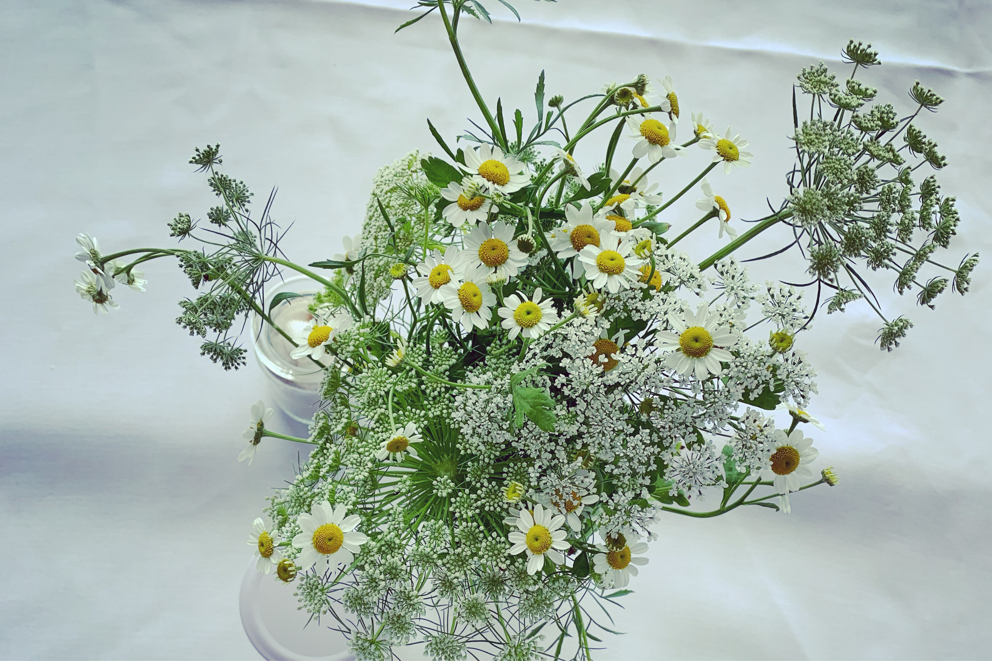 Sandbar and Restaurant-2297394