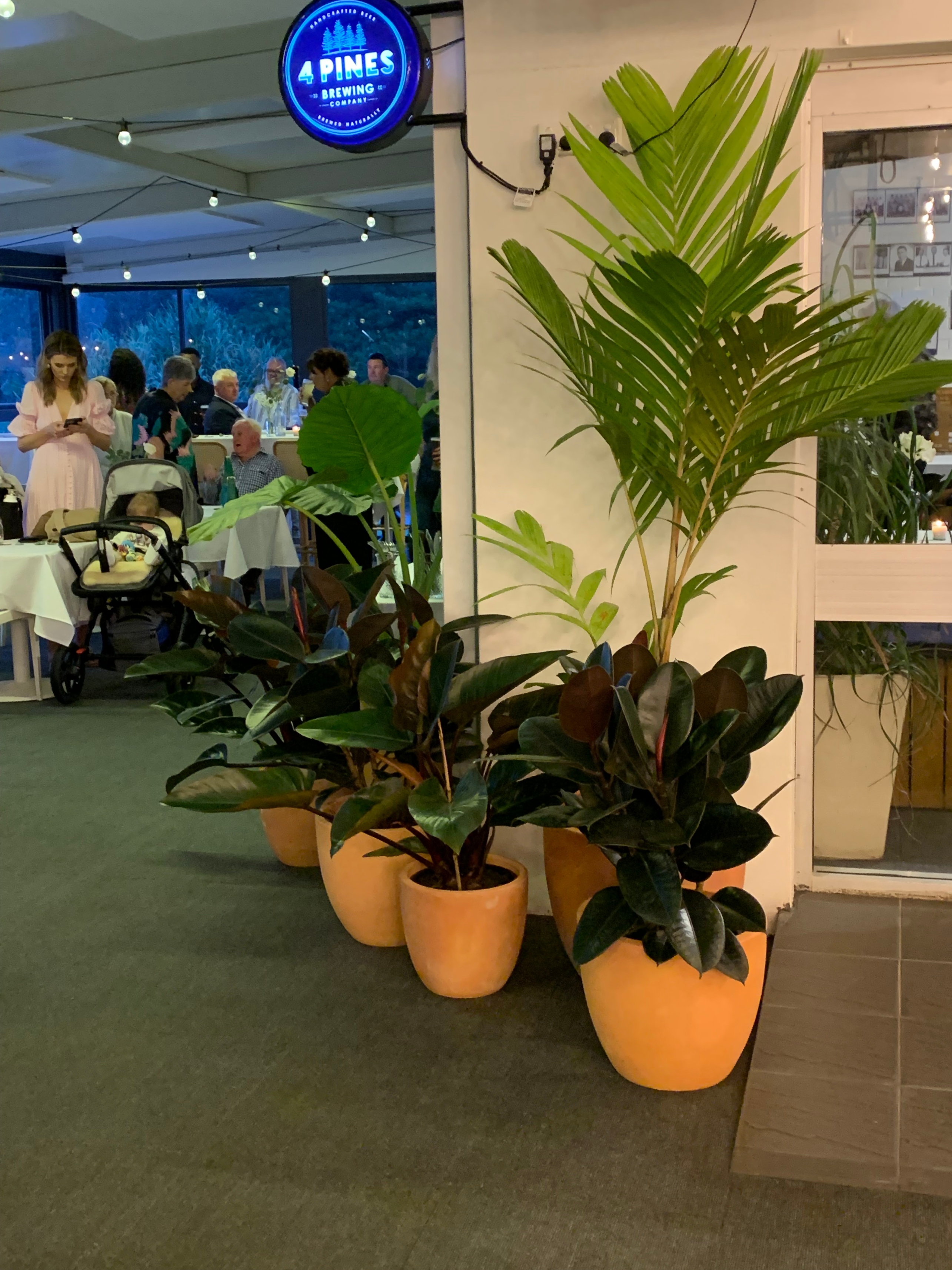 Sandbar and Restaurant-2297327