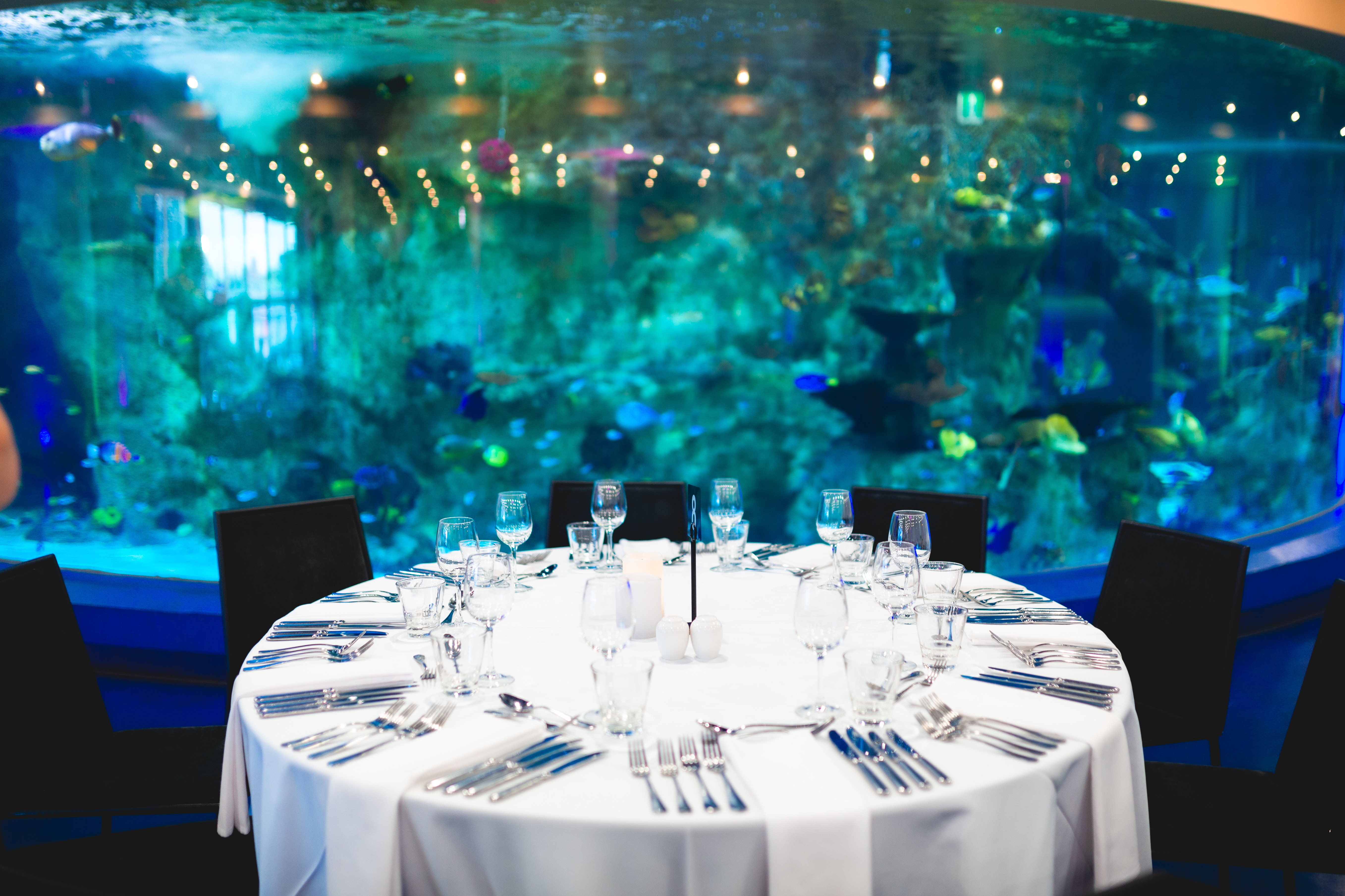 SEA LIFE Melbourne Aquarium-2346711