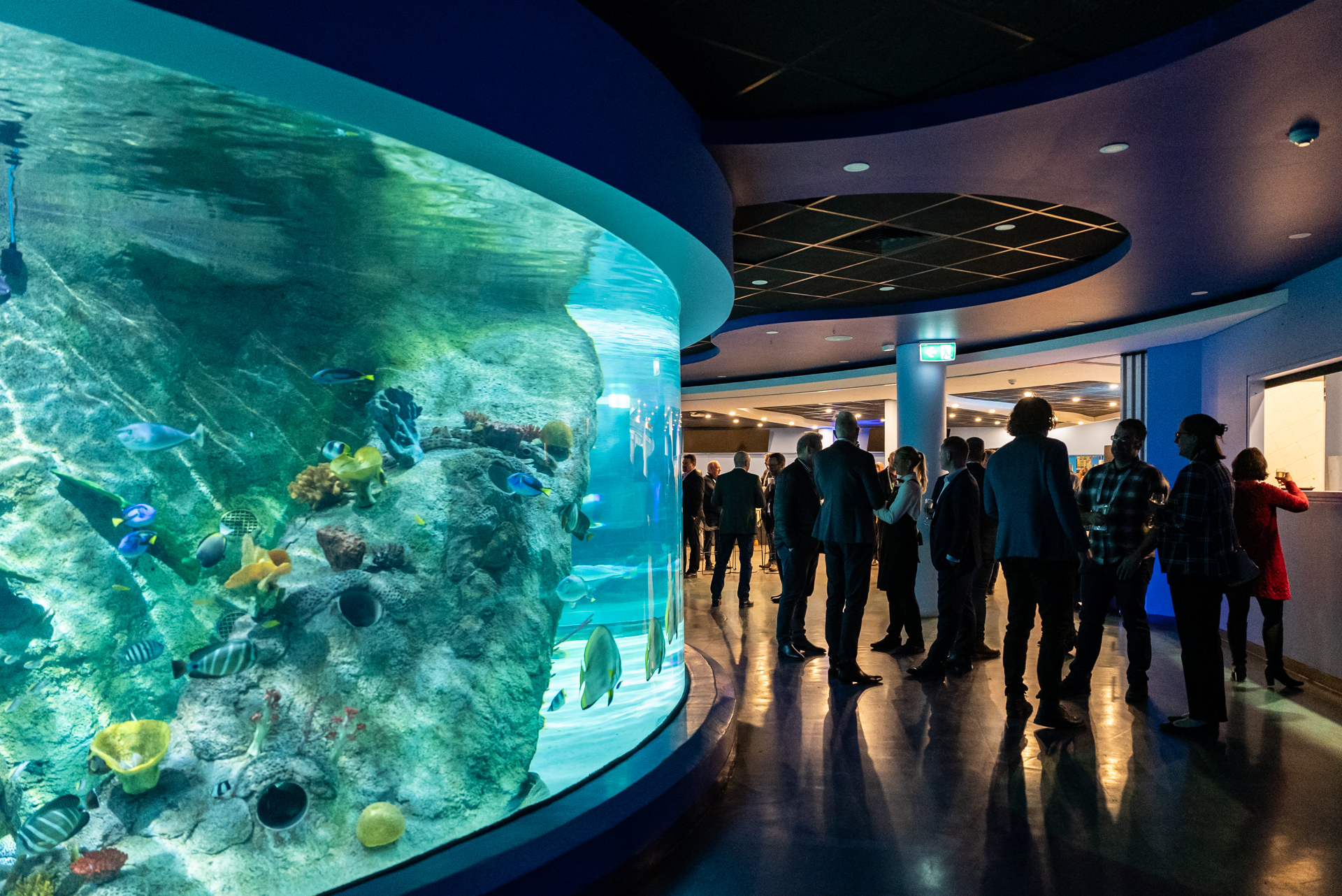 SEA LIFE Melbourne Aquarium-2346714