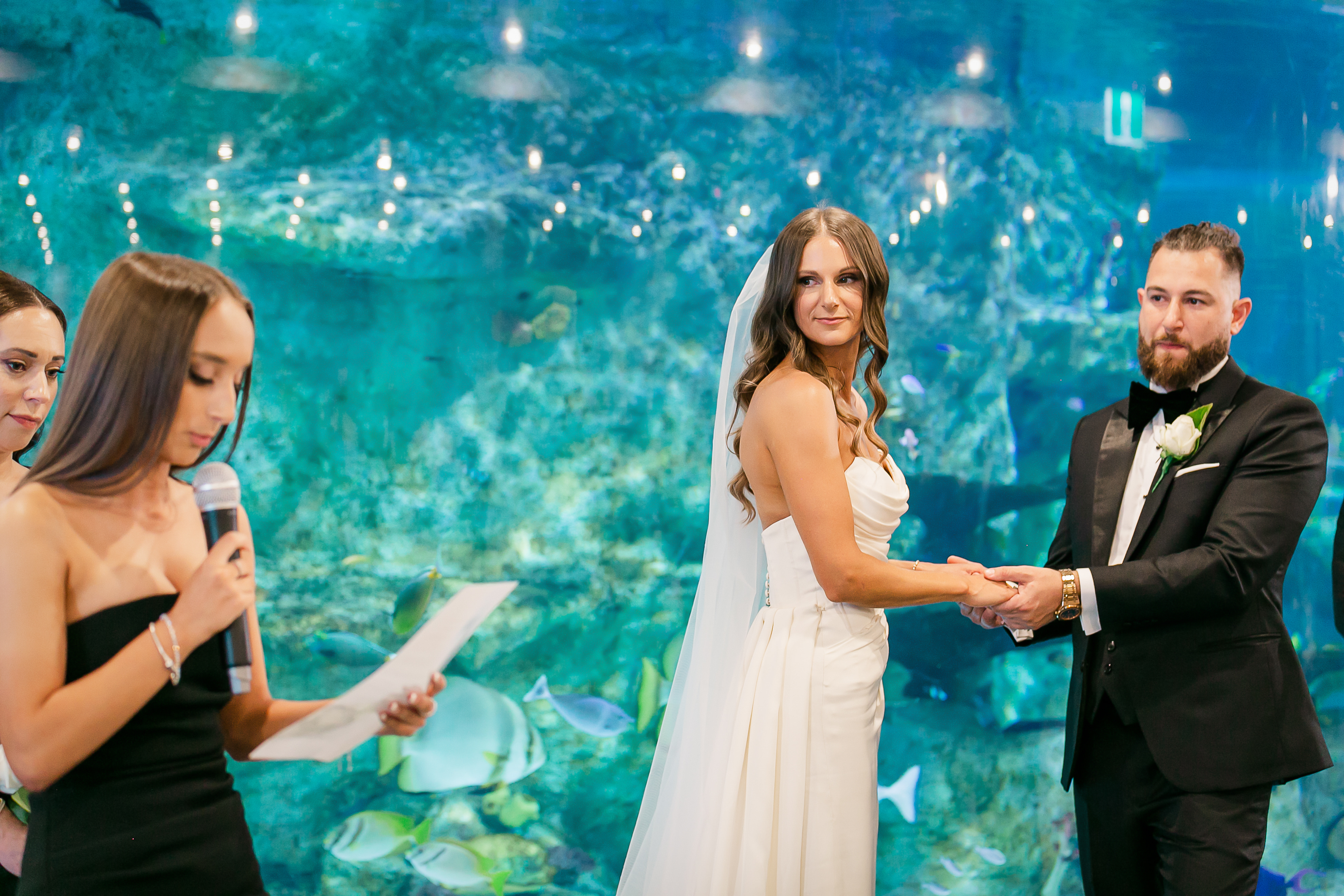 SEA LIFE Melbourne Aquarium-2346717