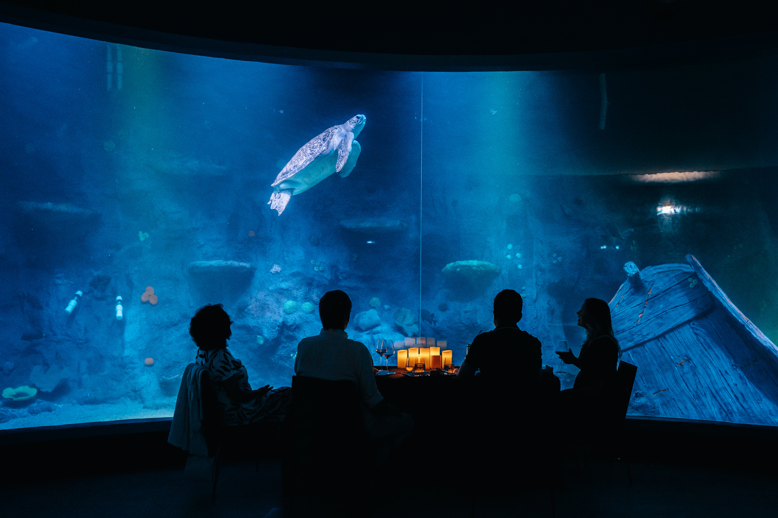 SEA LIFE Melbourne Aquarium-2346713