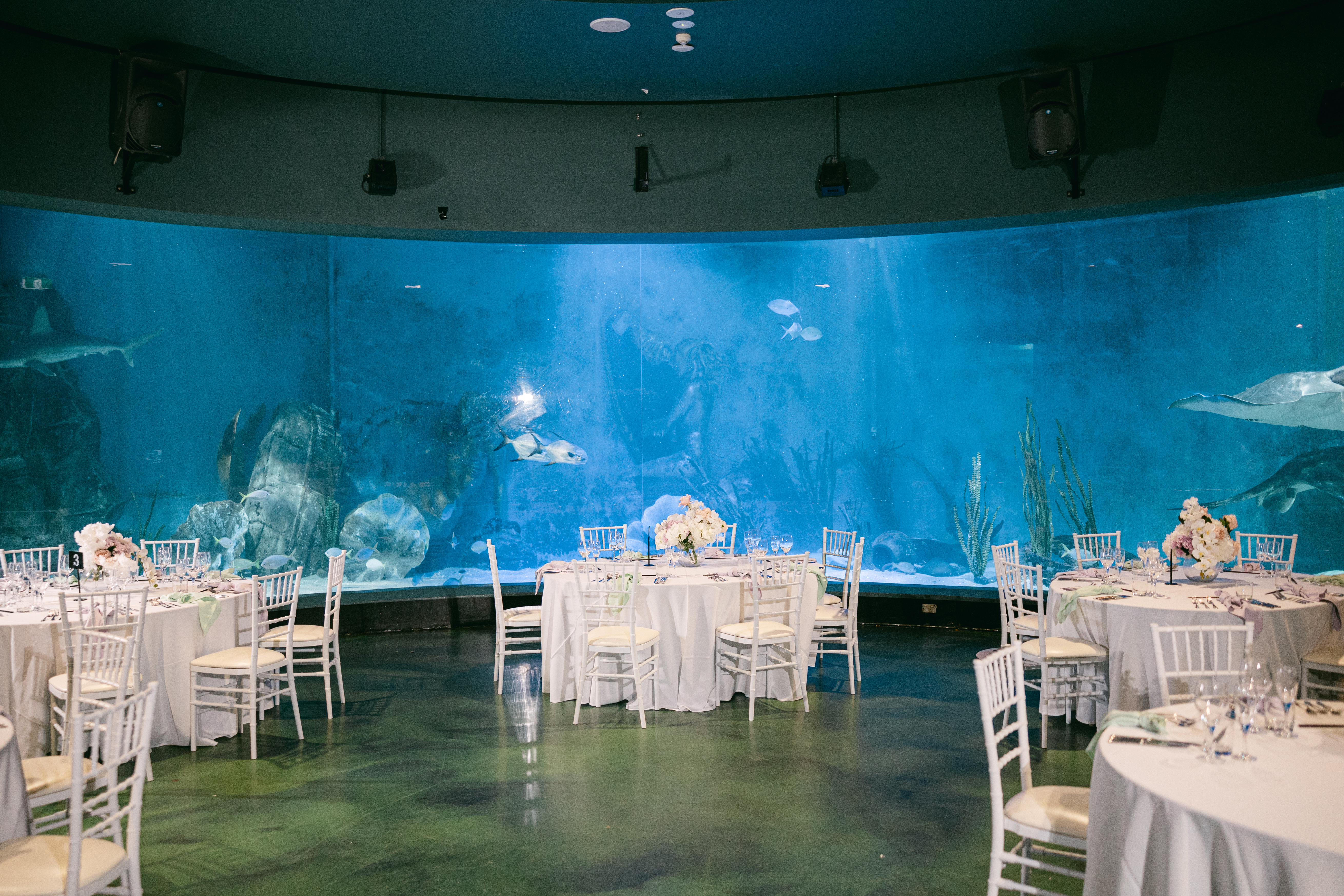 SEA LIFE Melbourne Aquarium-2346715