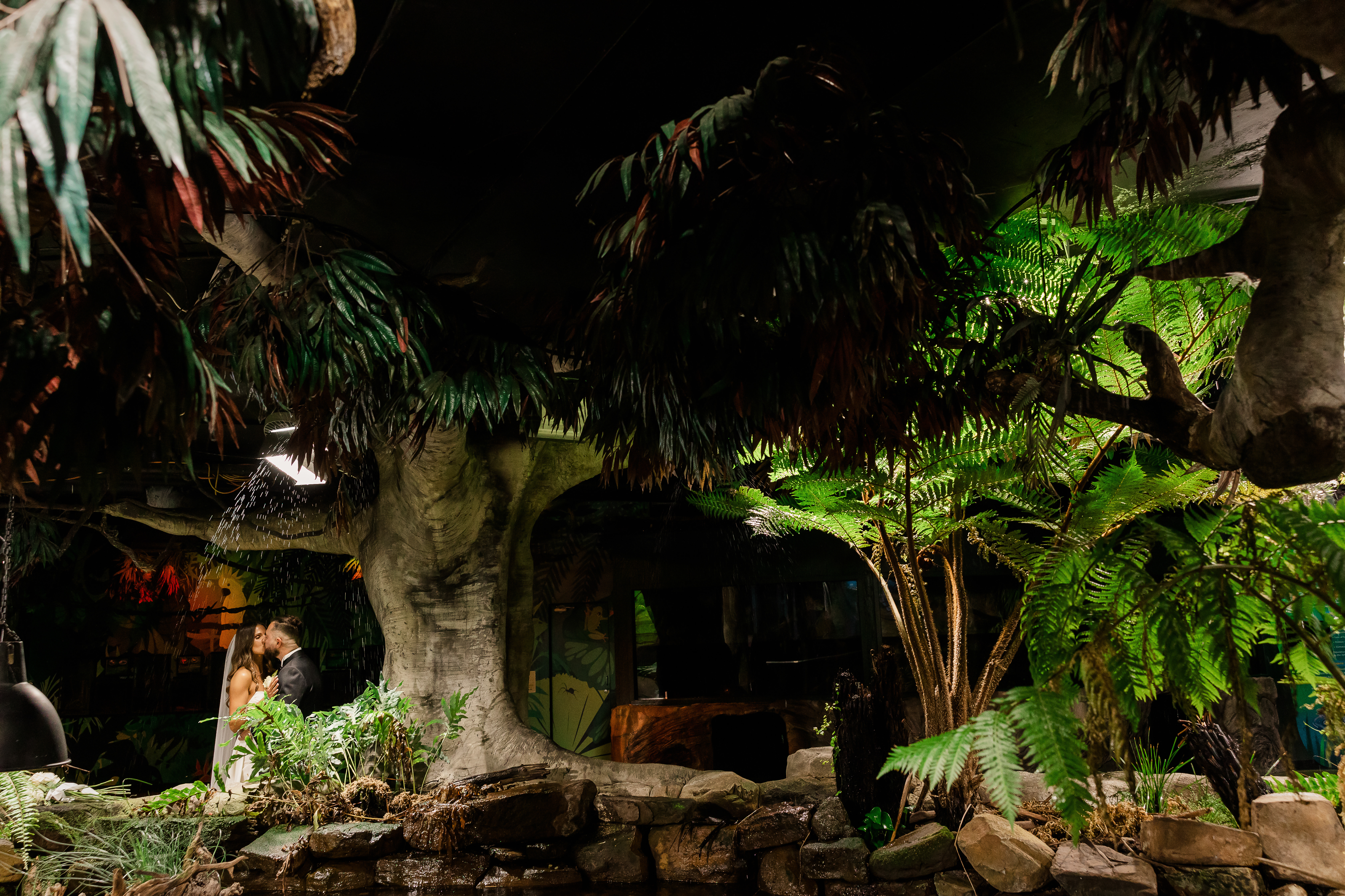 SEA LIFE Melbourne Aquarium-2346718