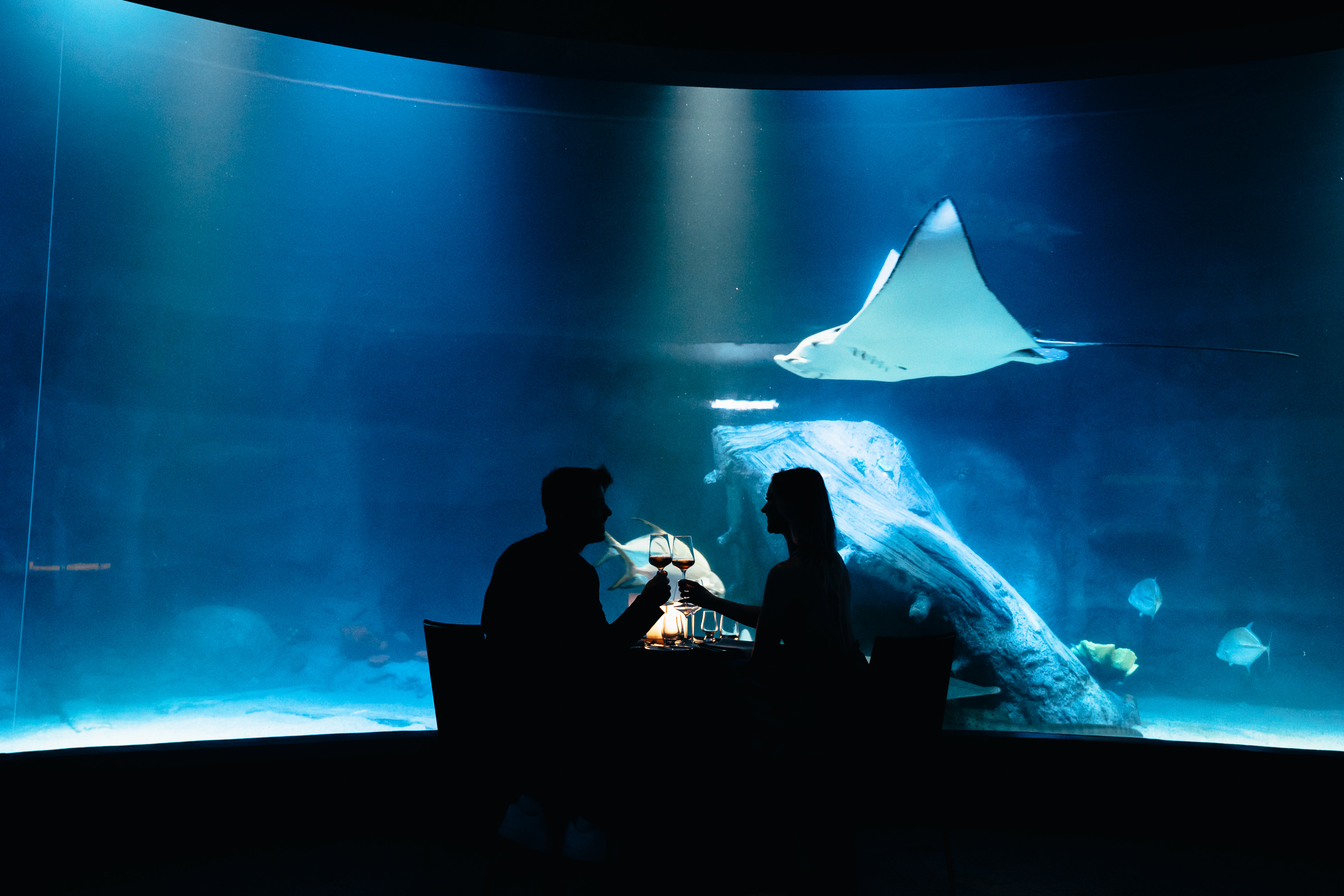 SEA LIFE Melbourne Aquarium