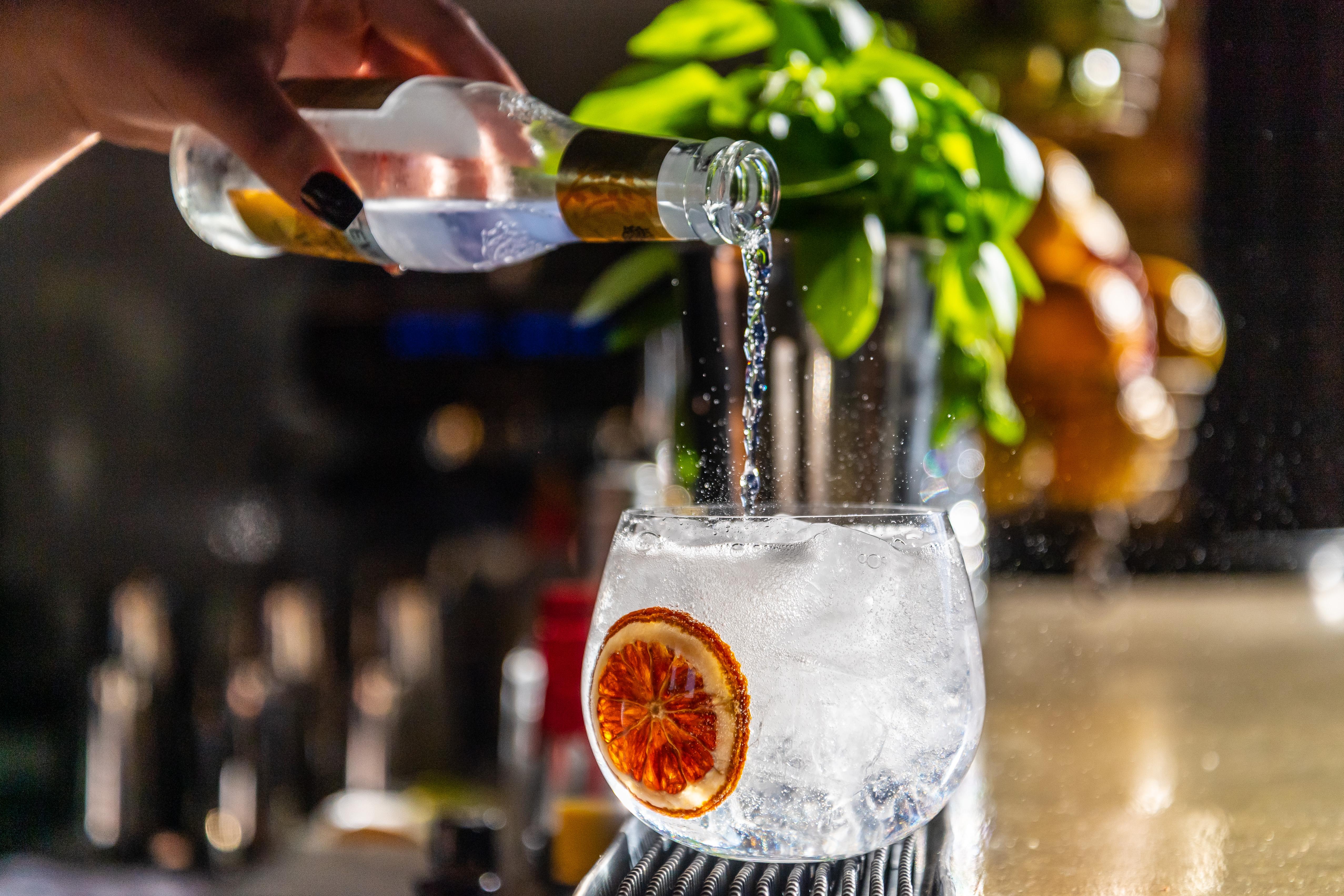 Seed Clare Valley-2100554