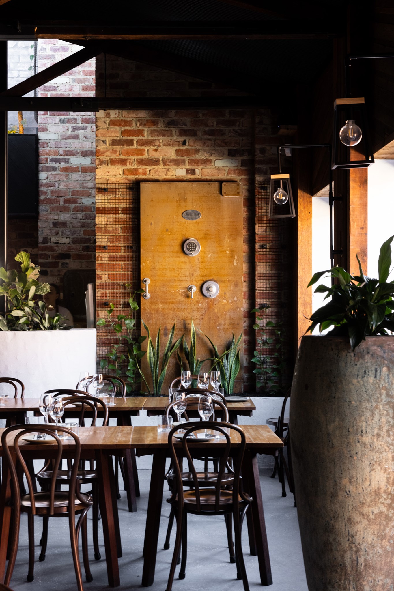 Seed Clare Valley-2100345