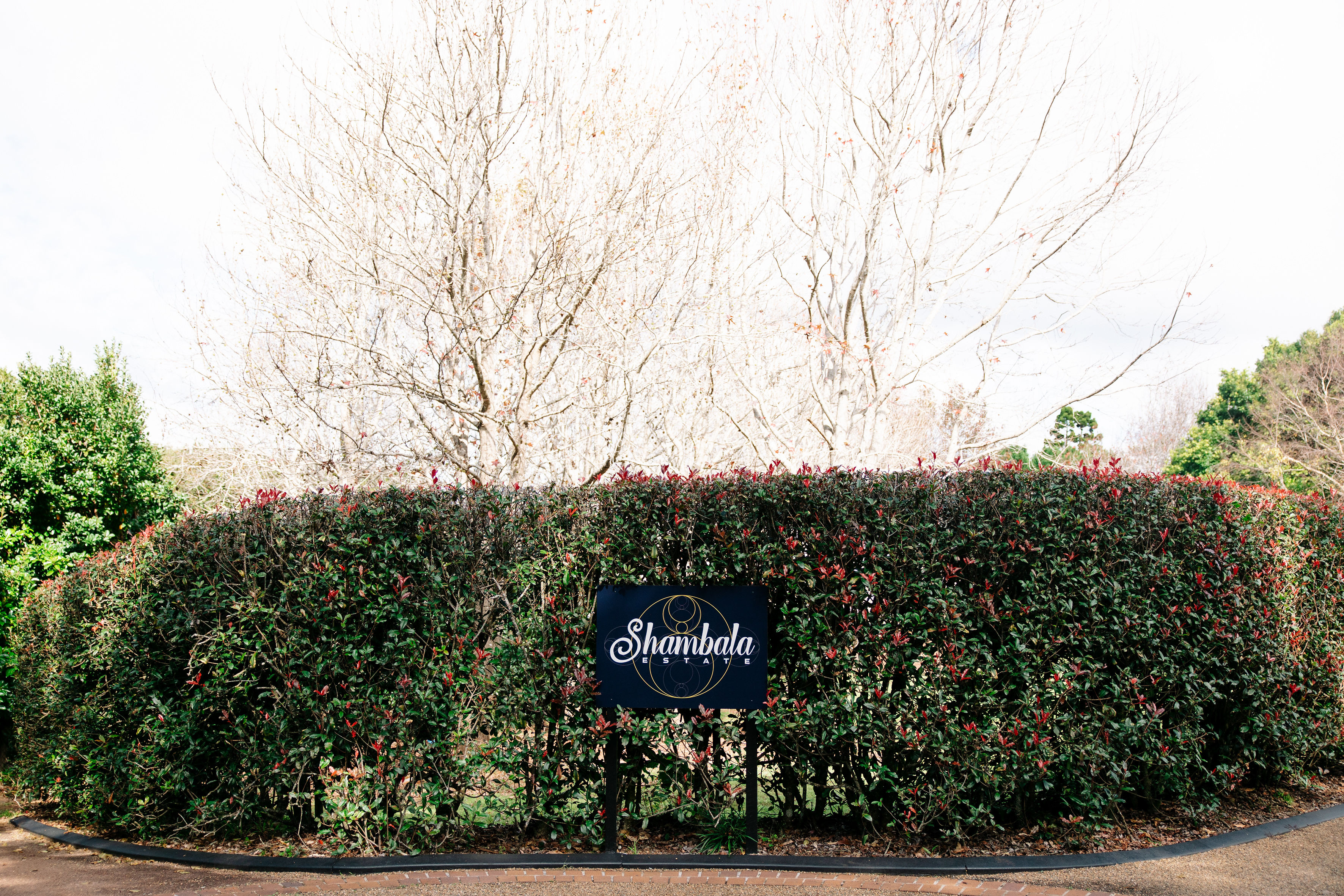 Shambala Estate-2490847