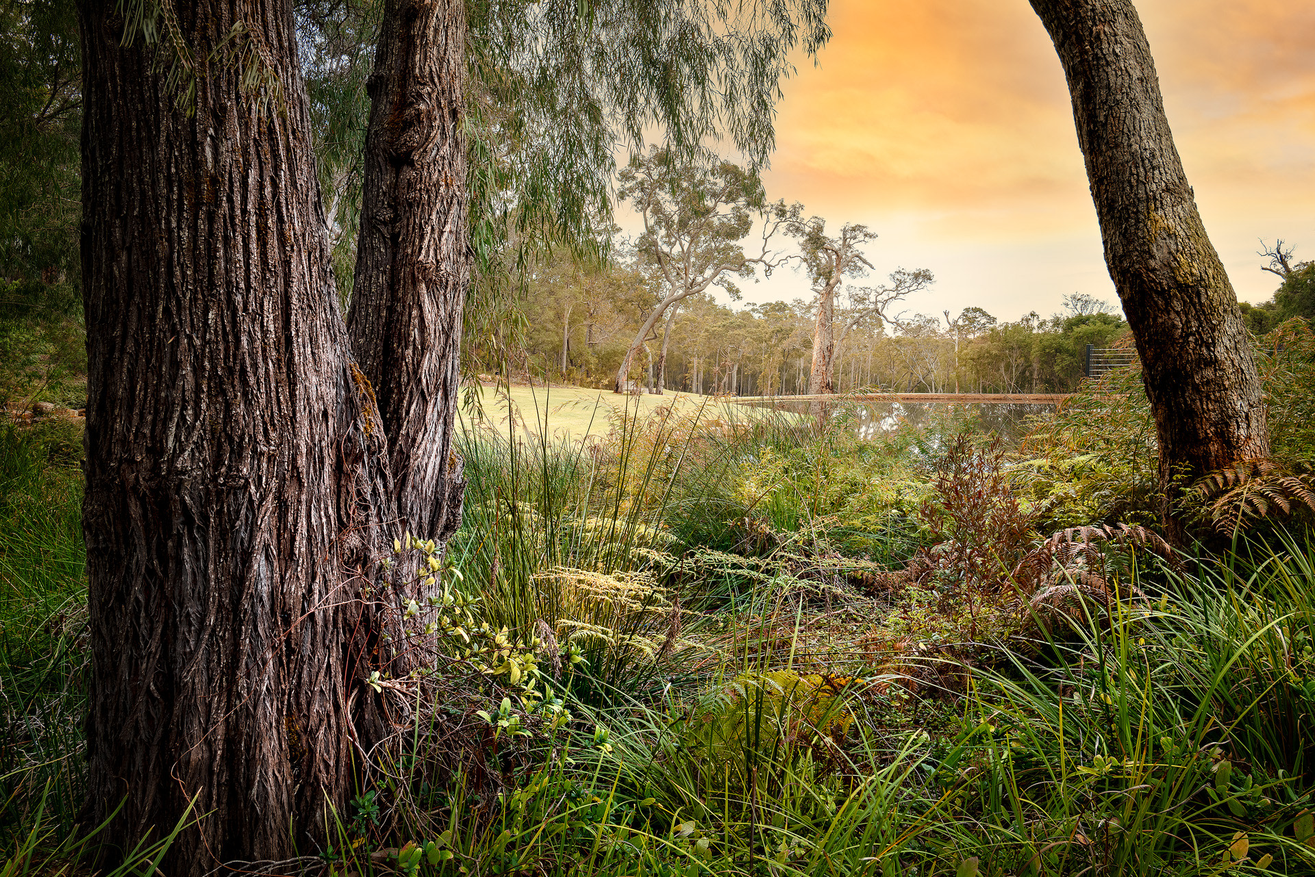 Sundance Lodge-2196740