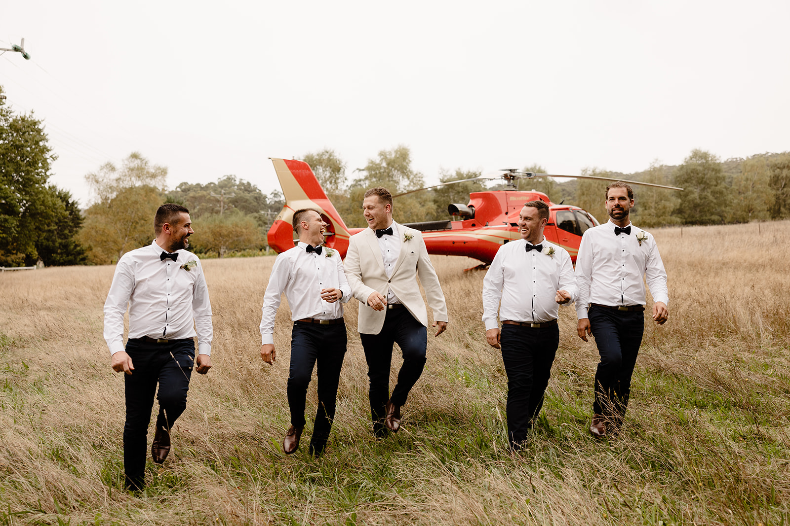 Swallowfield Vineyards-2358066