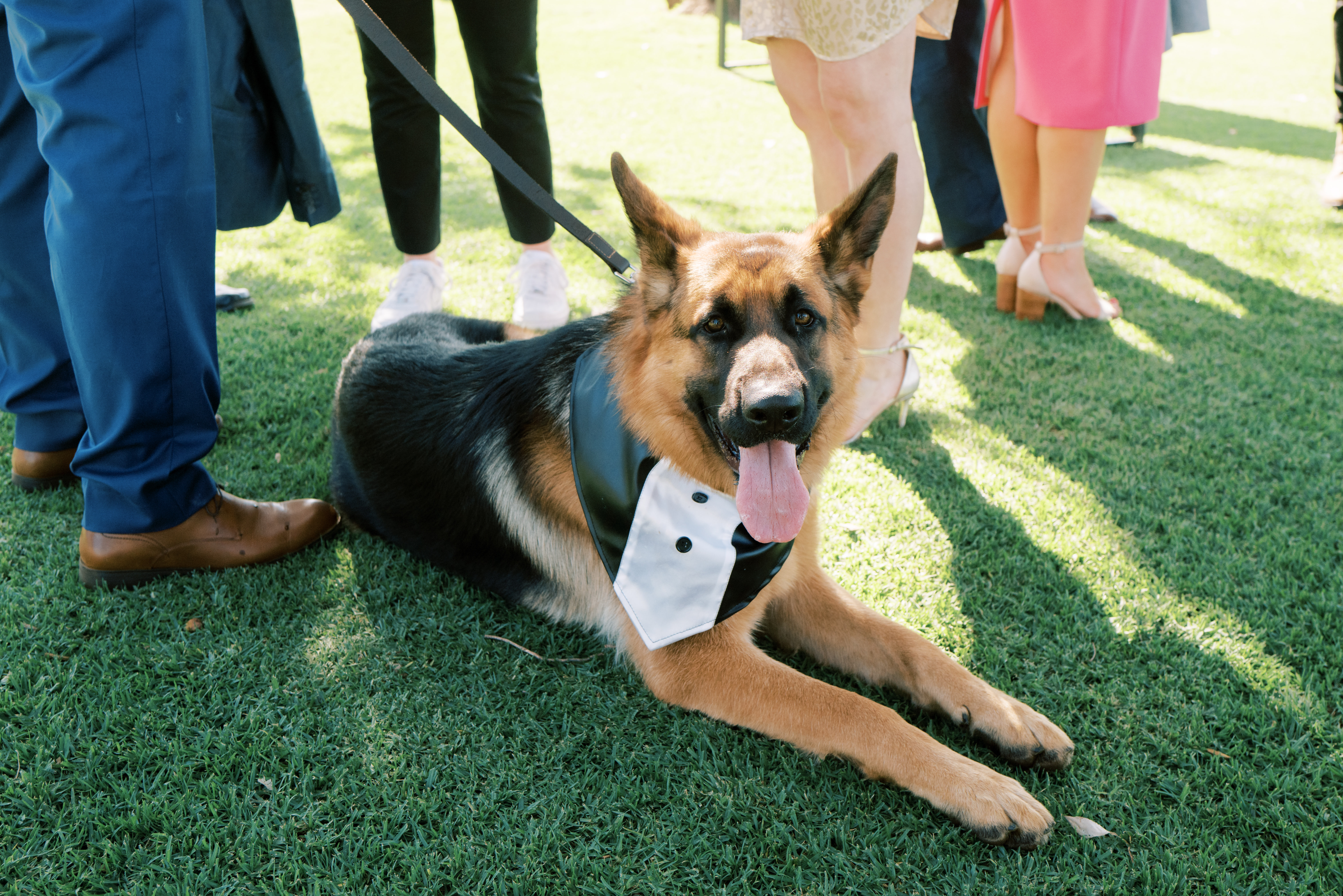 Swings & Roundabouts-2365930