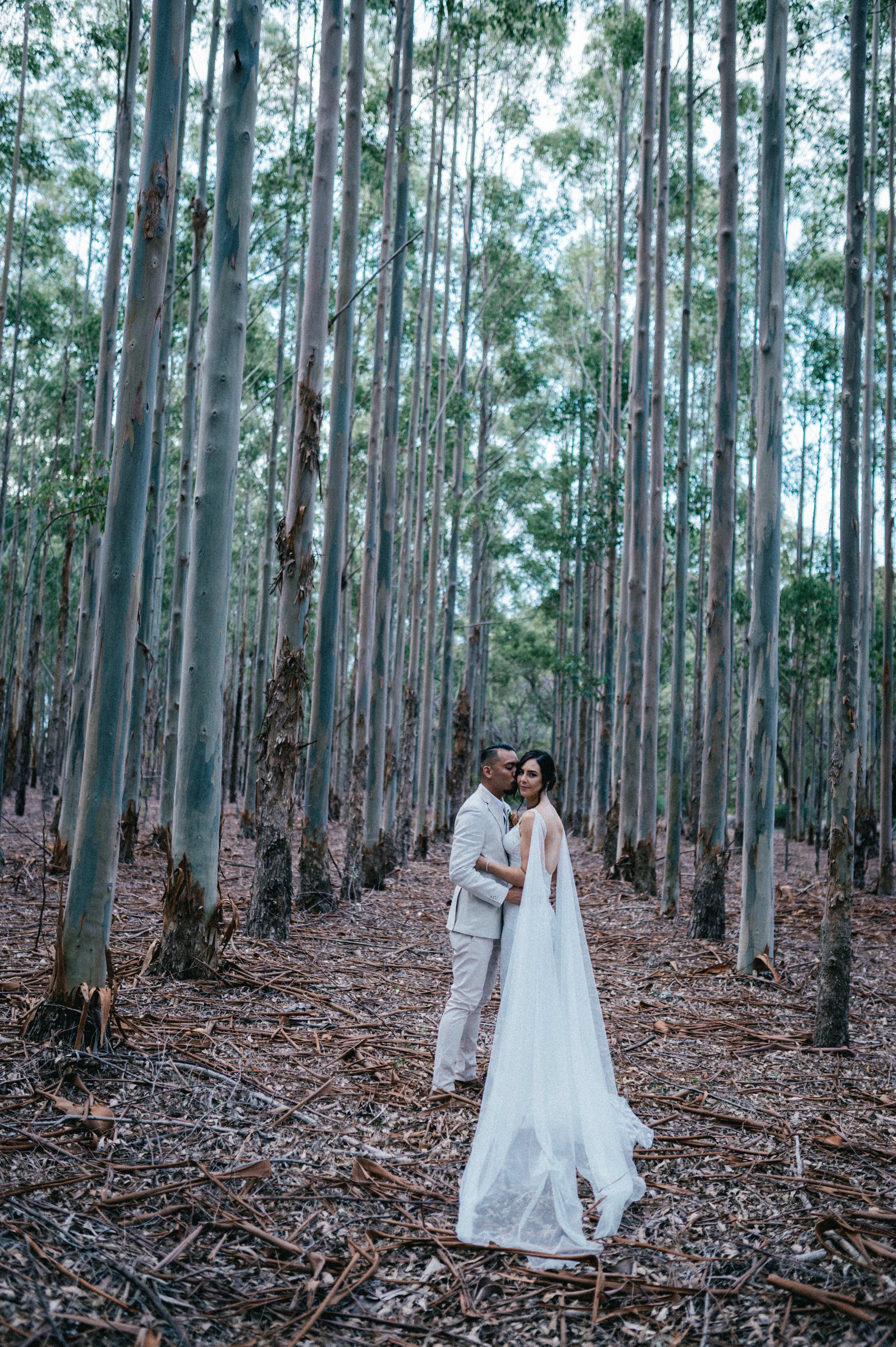 Swings & Roundabouts-2365933