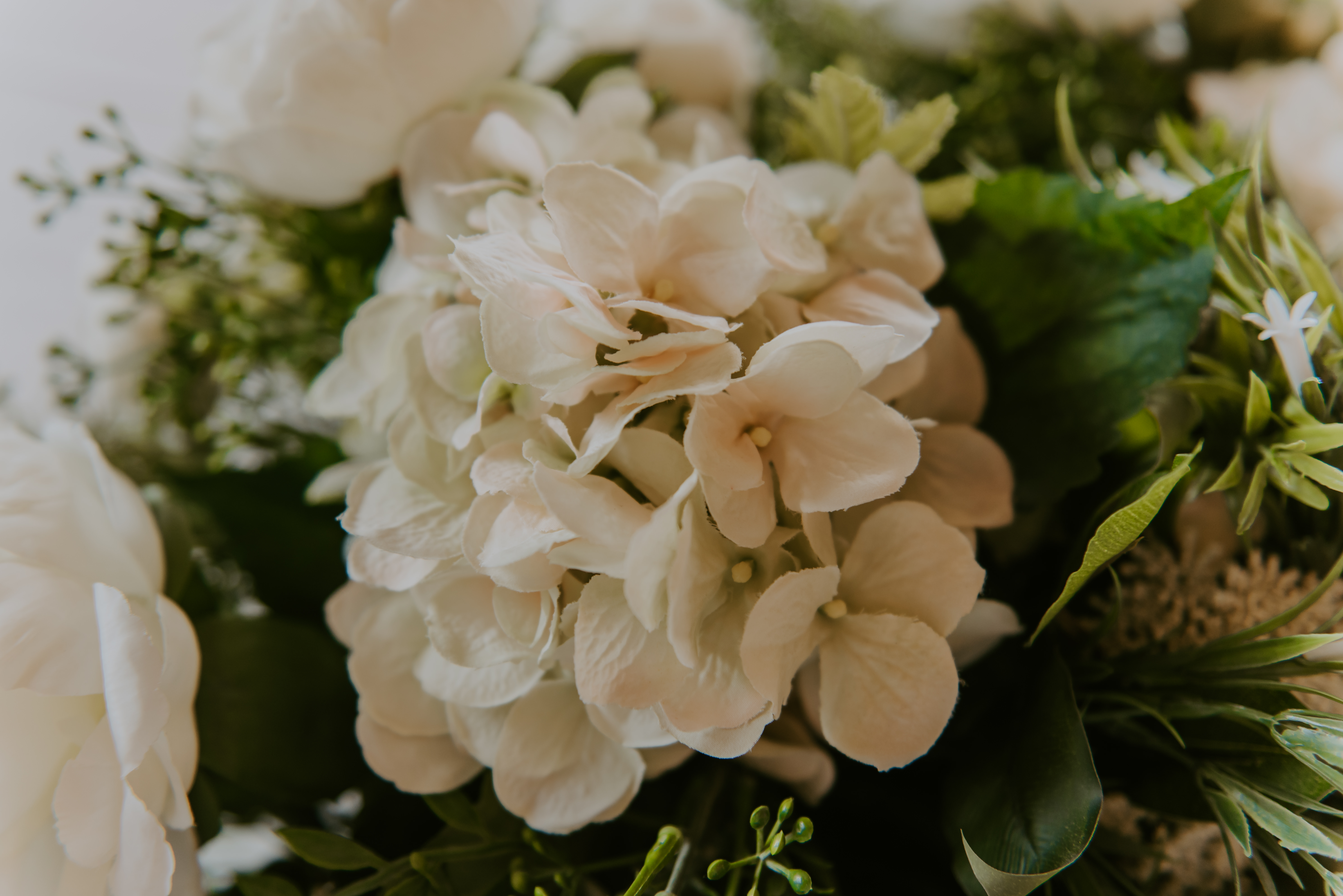 The Bay Mordi-2173610