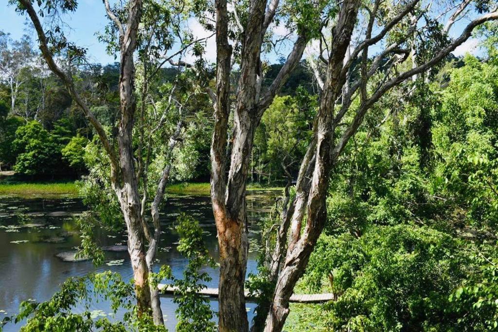 The Billabong Kuranda-2242414