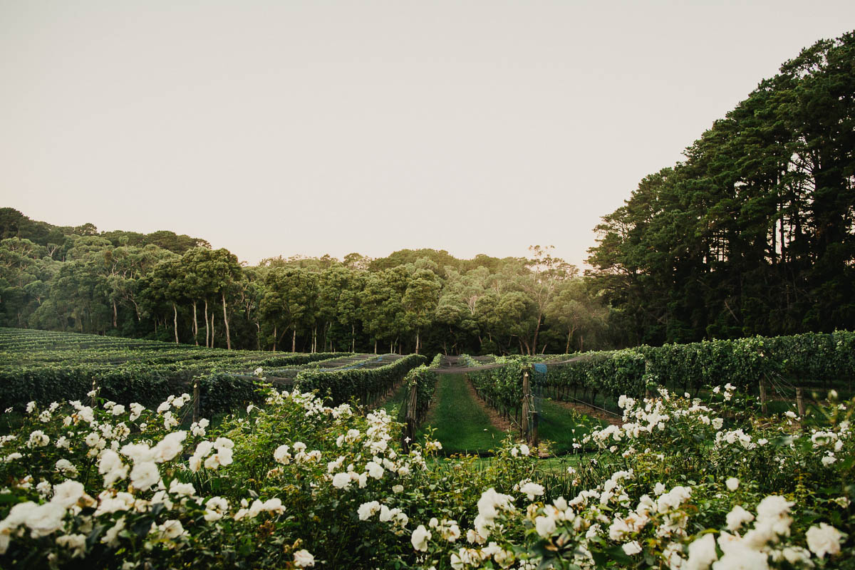 The Epicurean Mantons Creek Estate