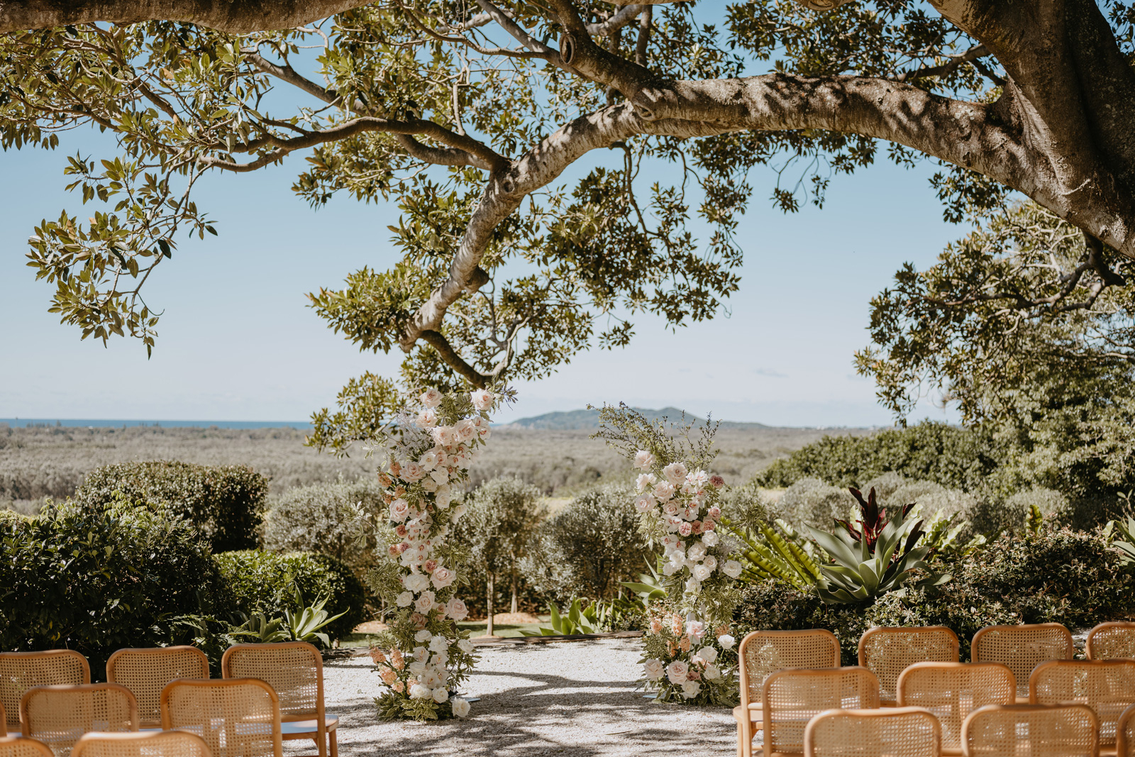 The Fig Tree Byron Bay-2353363