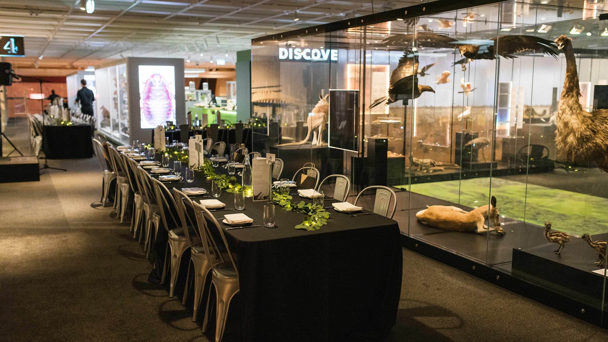 The Queensland Museum-2095862