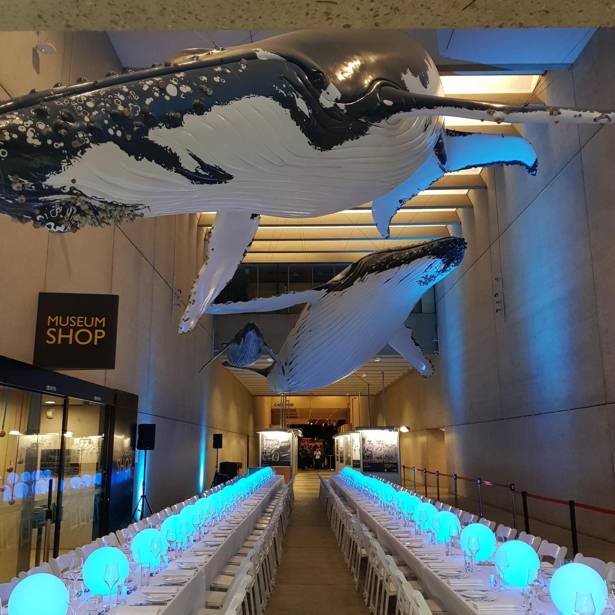 The Queensland Museum-2095870