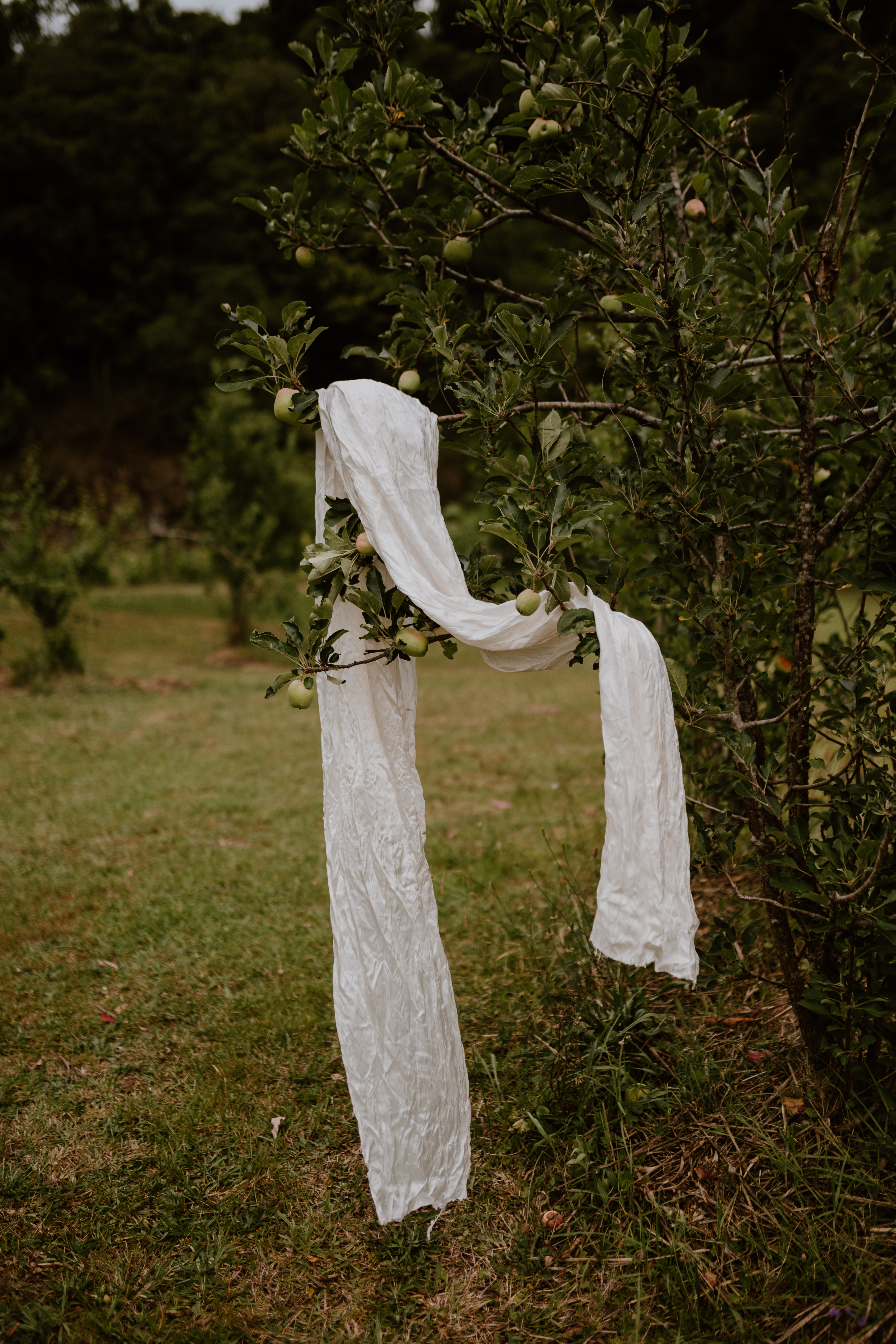 The Greenhouse Pavilion-2484648