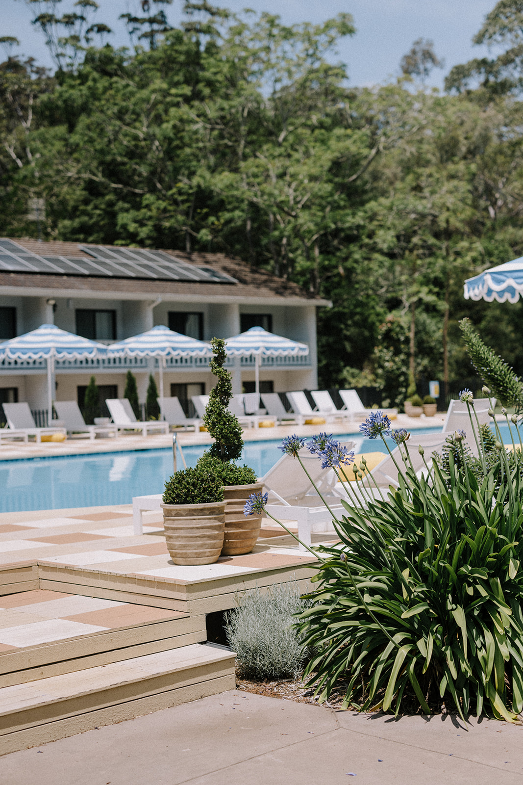 The Lodge Jamberoo-2465668