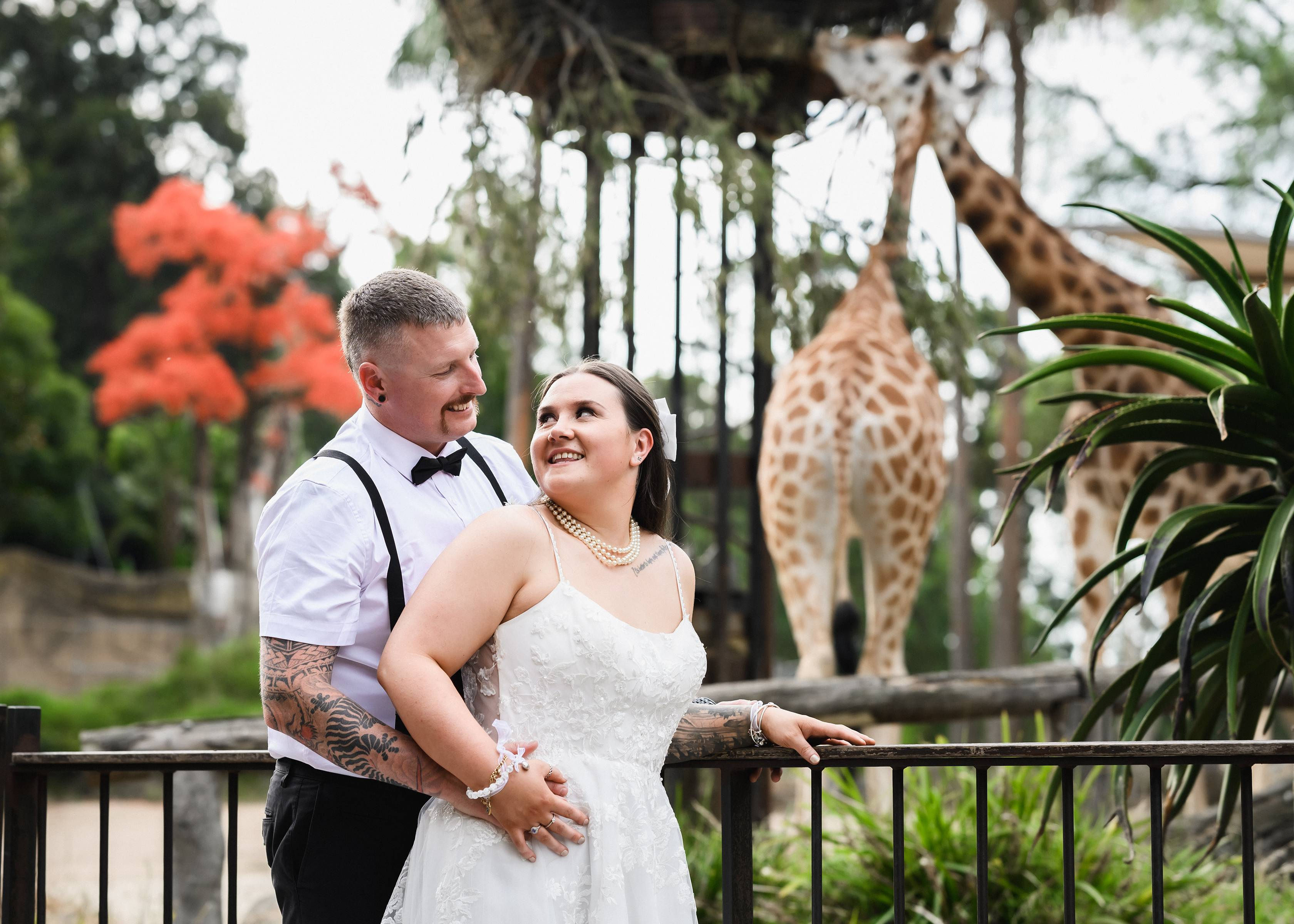 The Melbourne Zoo-2334726