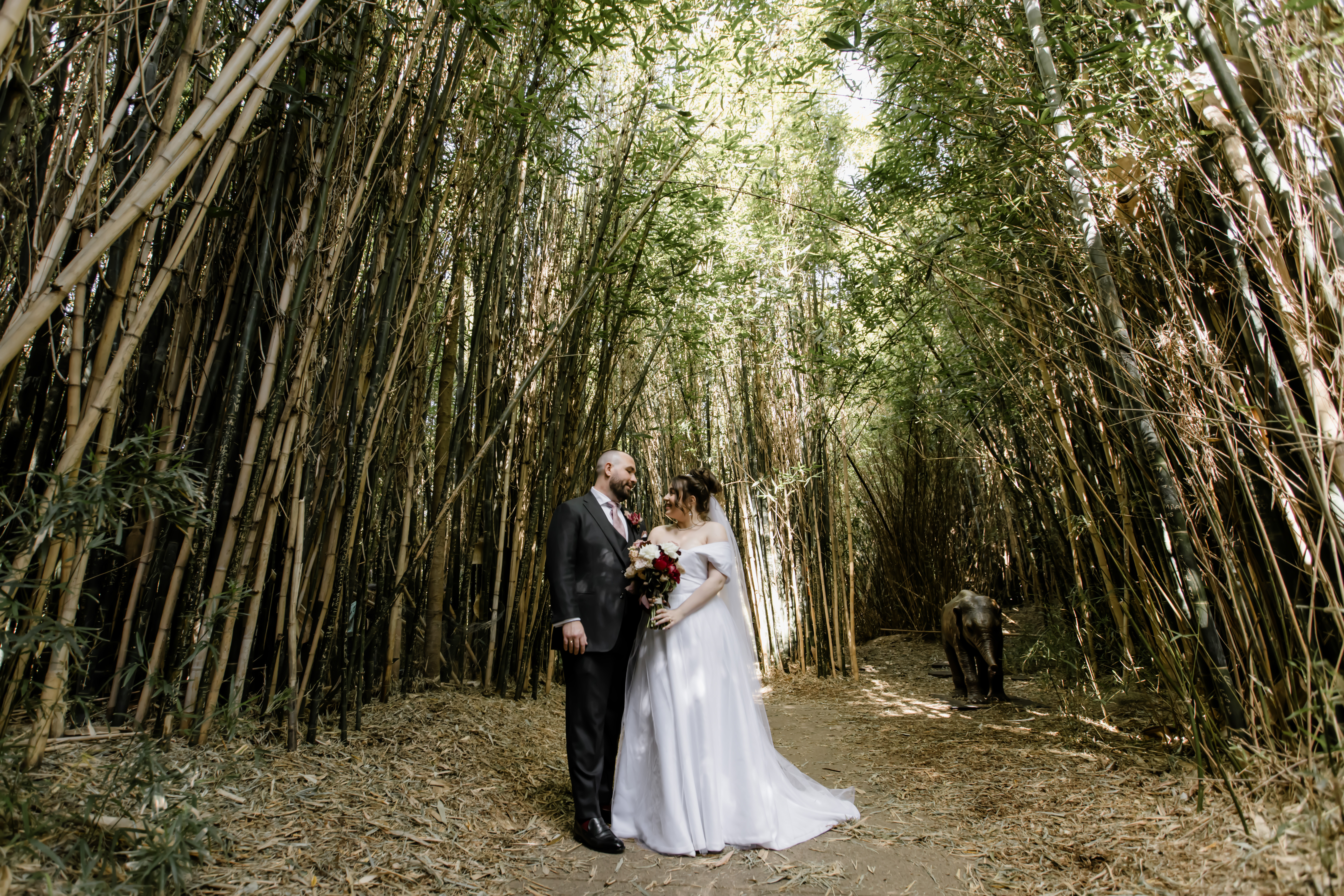 The Melbourne Zoo-2377744