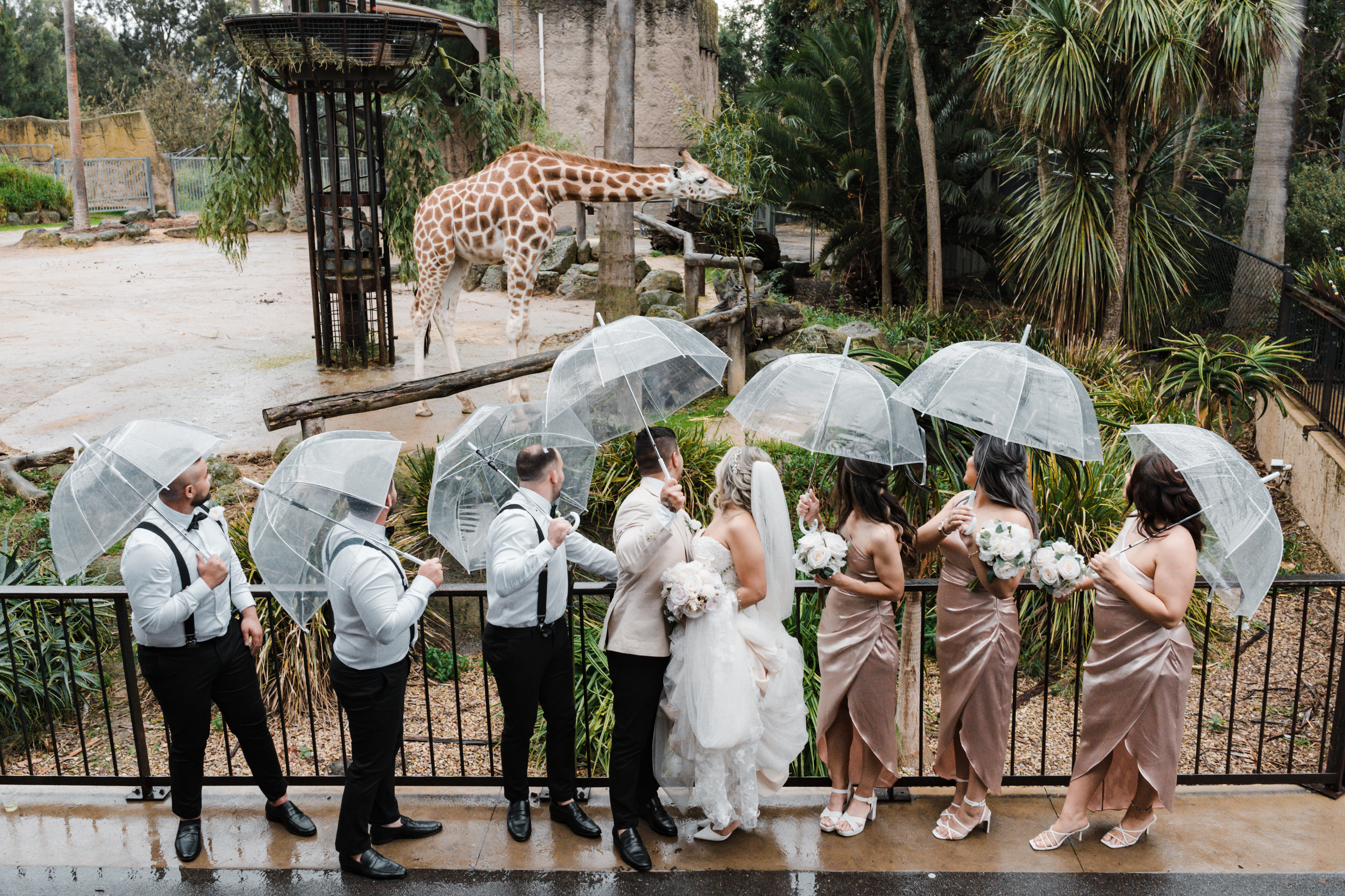 The Melbourne Zoo-2266454