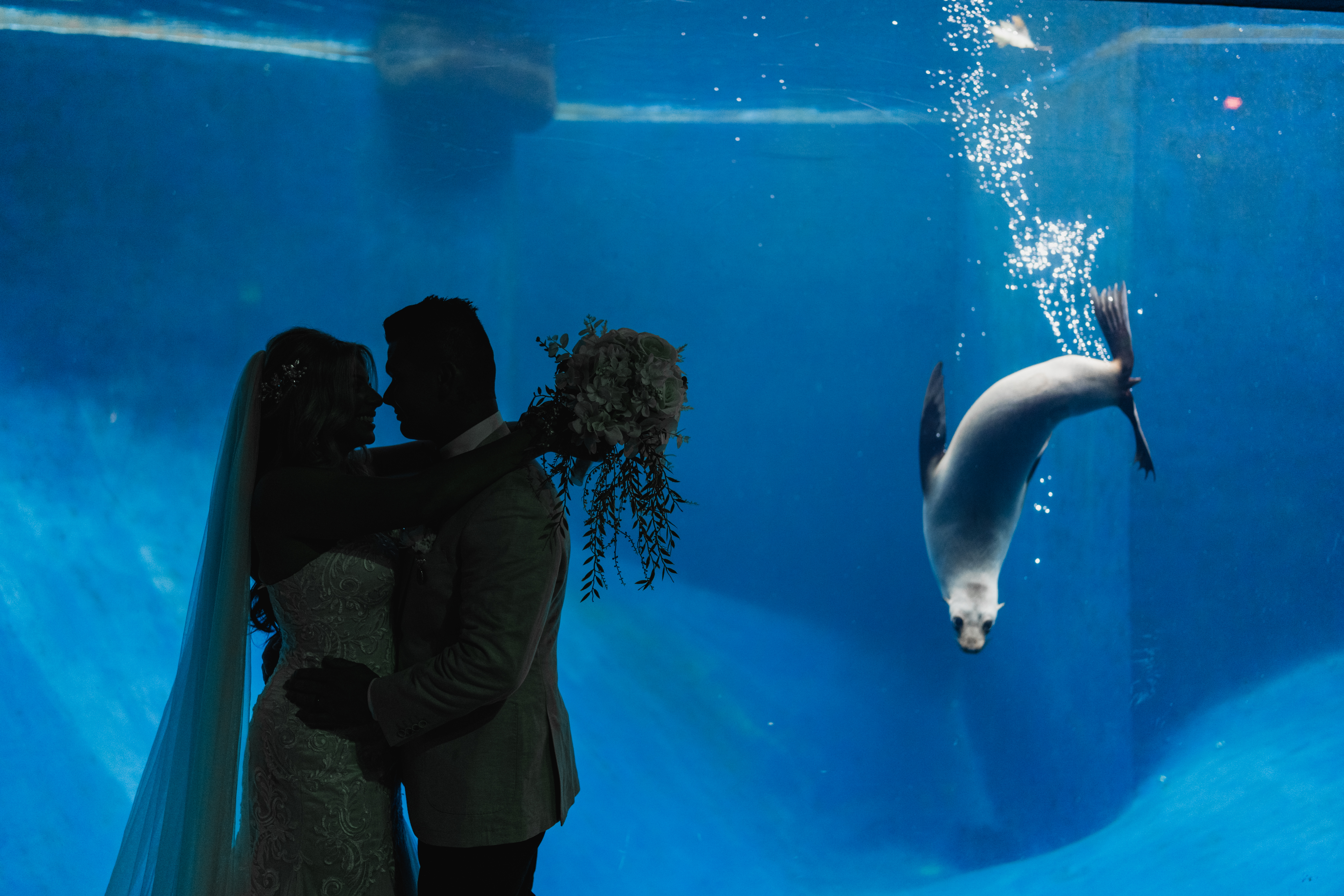 The Melbourne Zoo-2266458