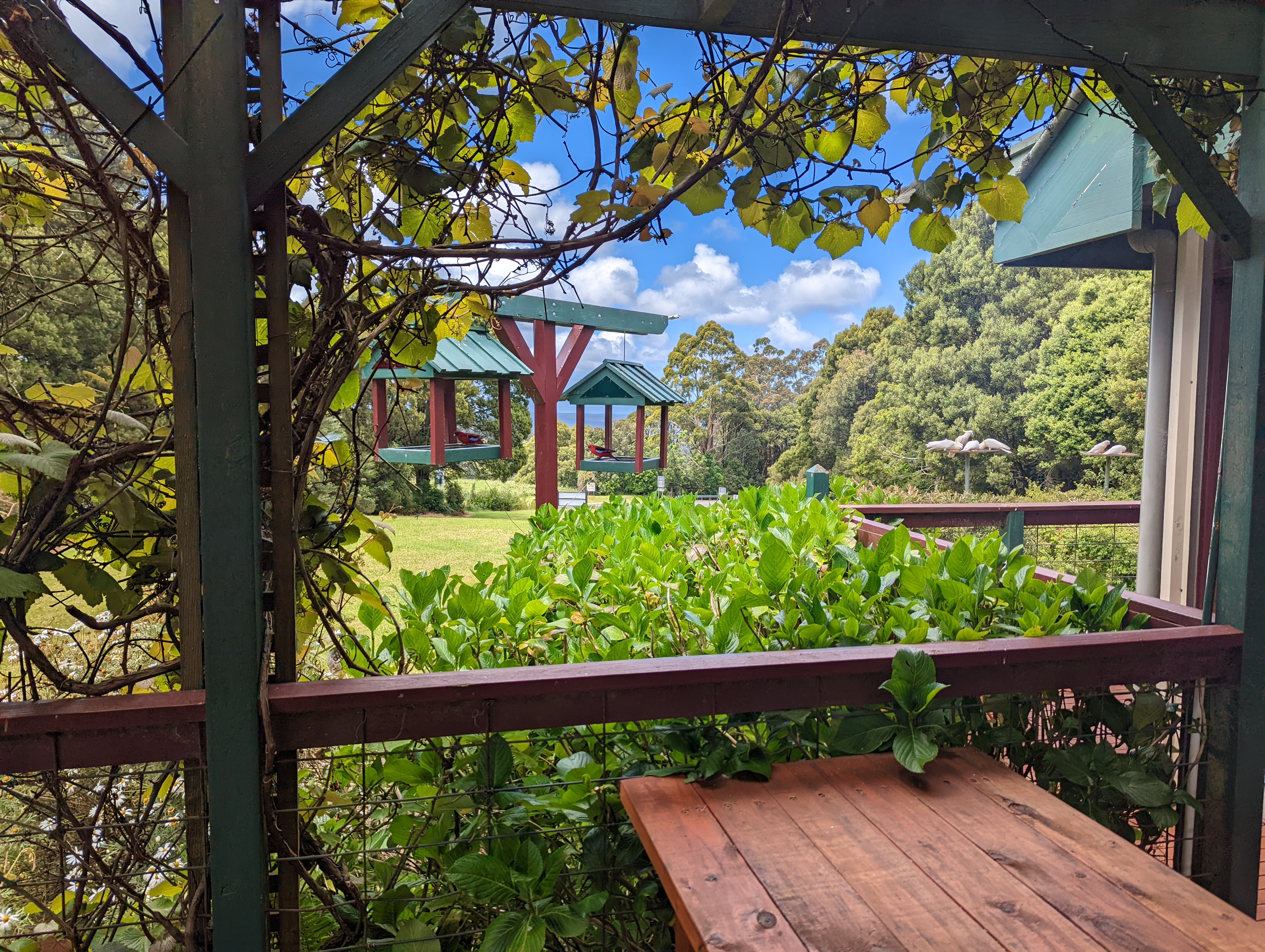 The Perch at Lavers Hill-2279764