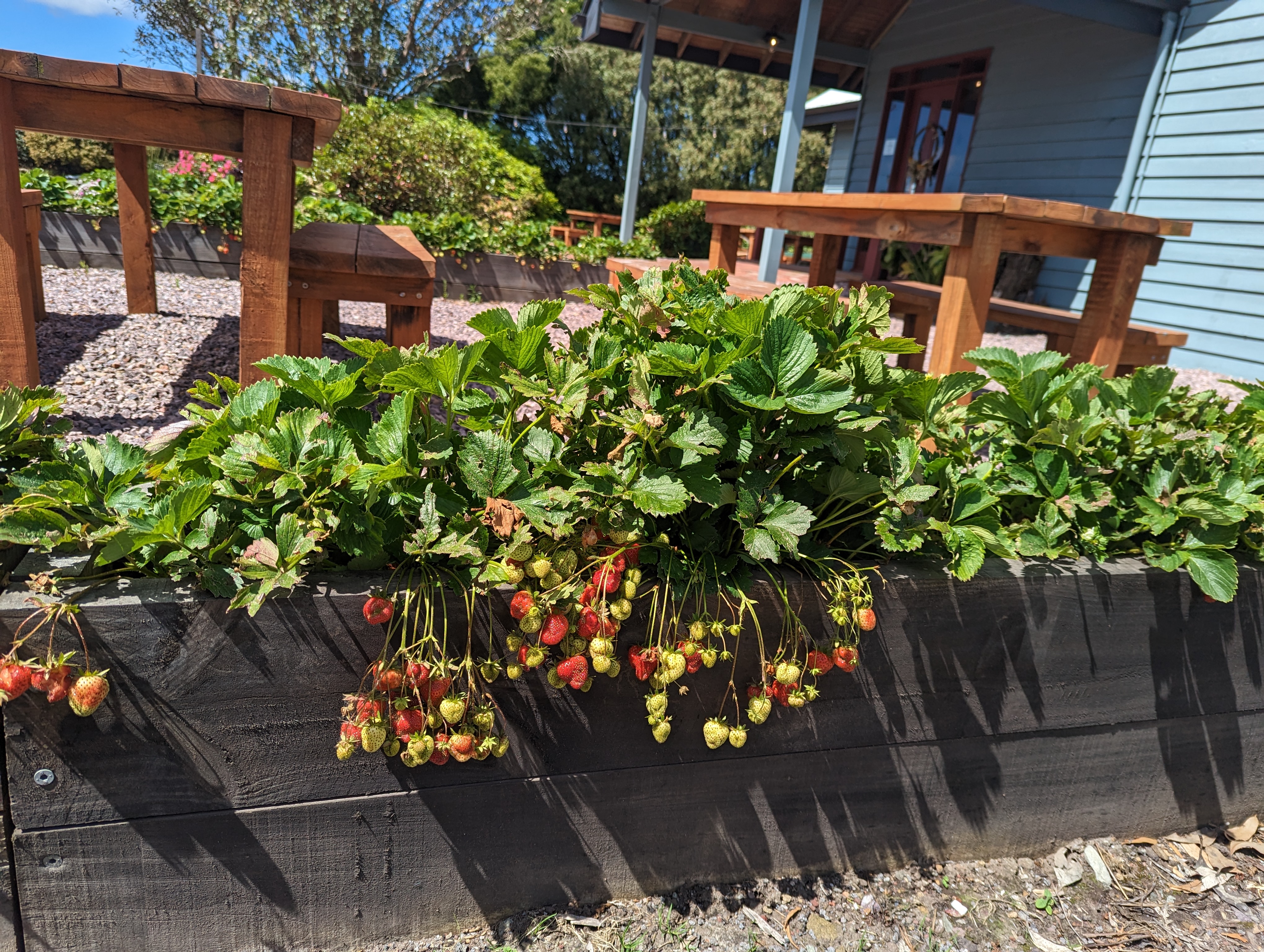 The Perch at Lavers Hill-2279766